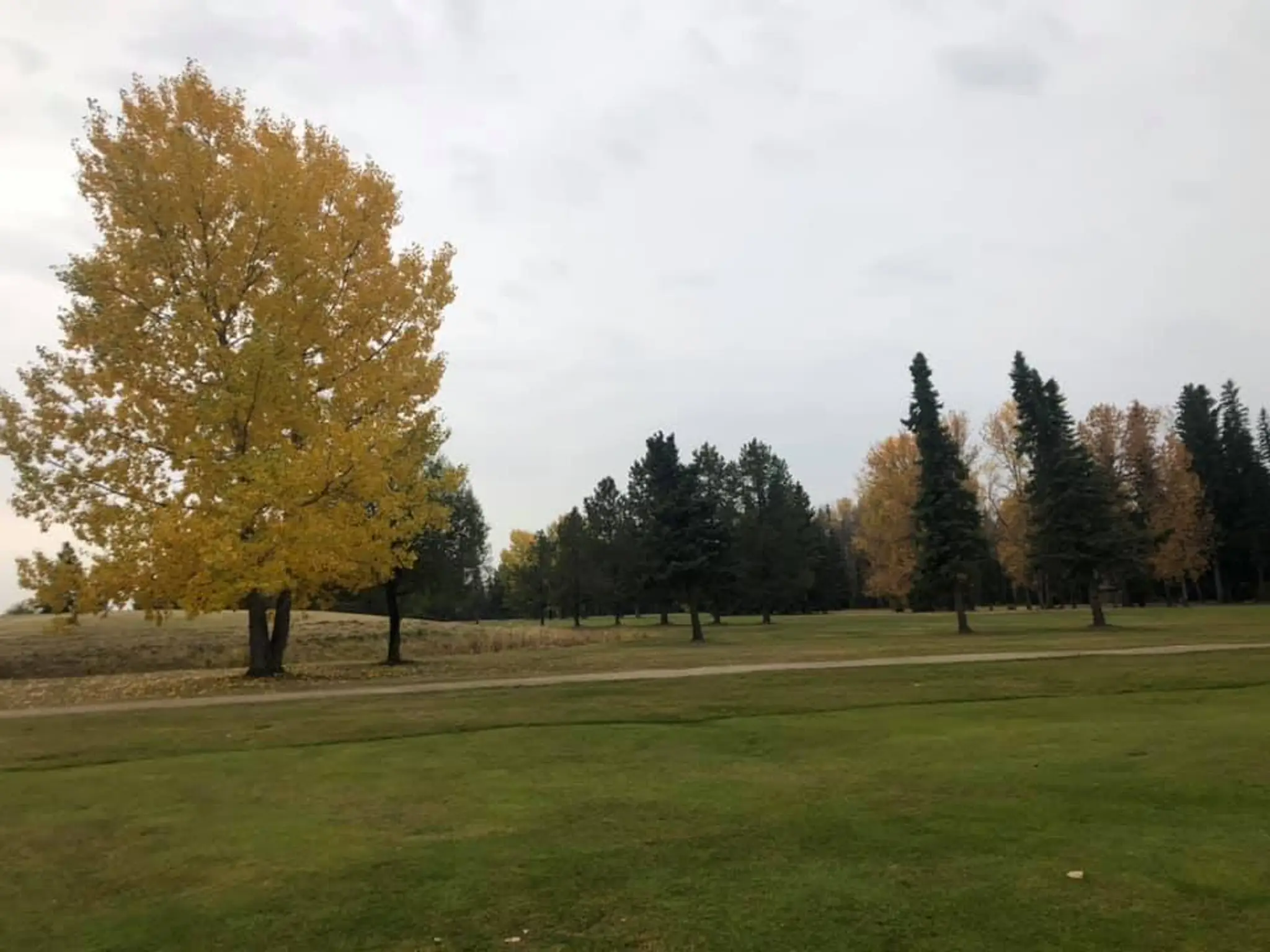 Edson Golf Club