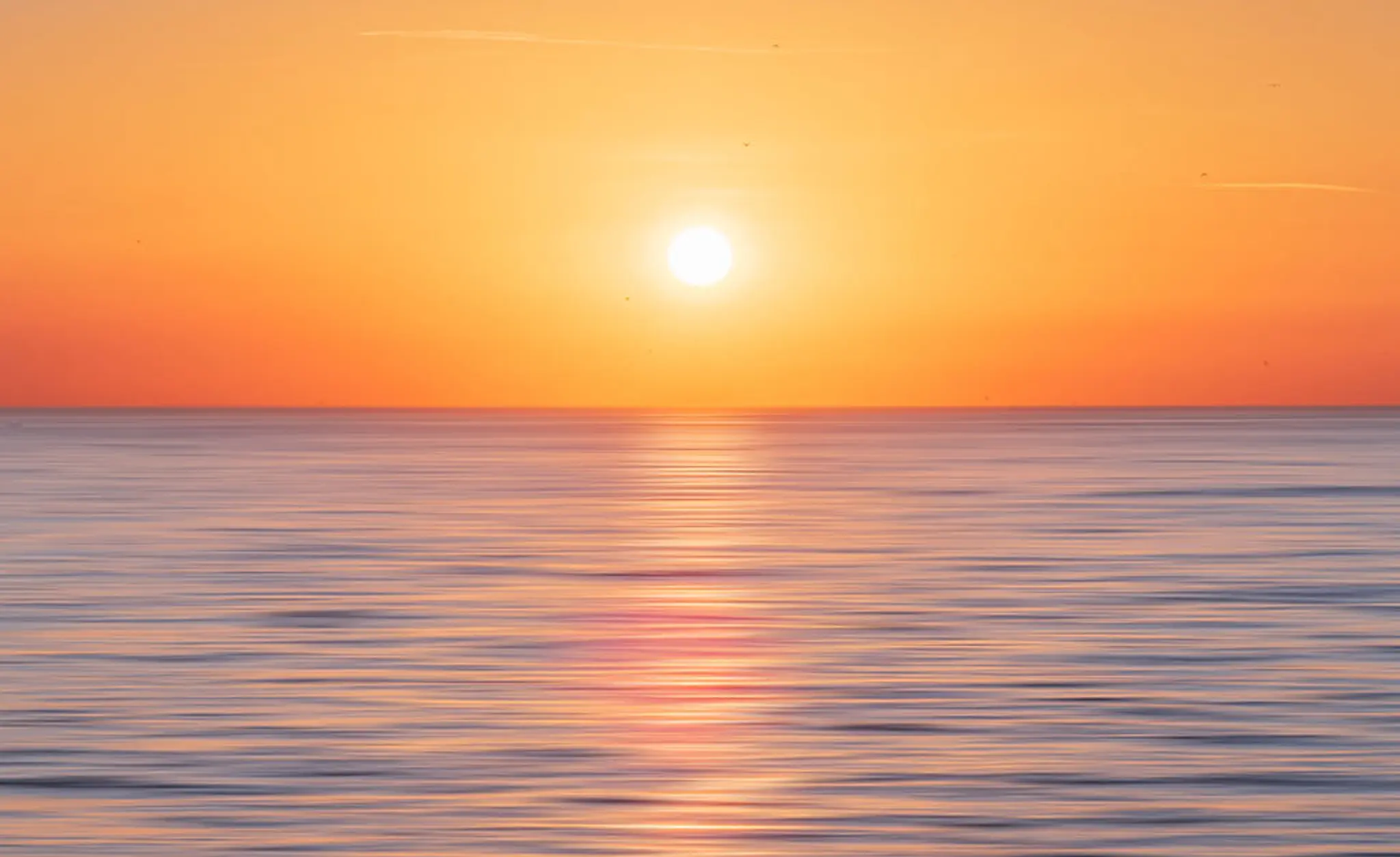 Arohana Dance Academy