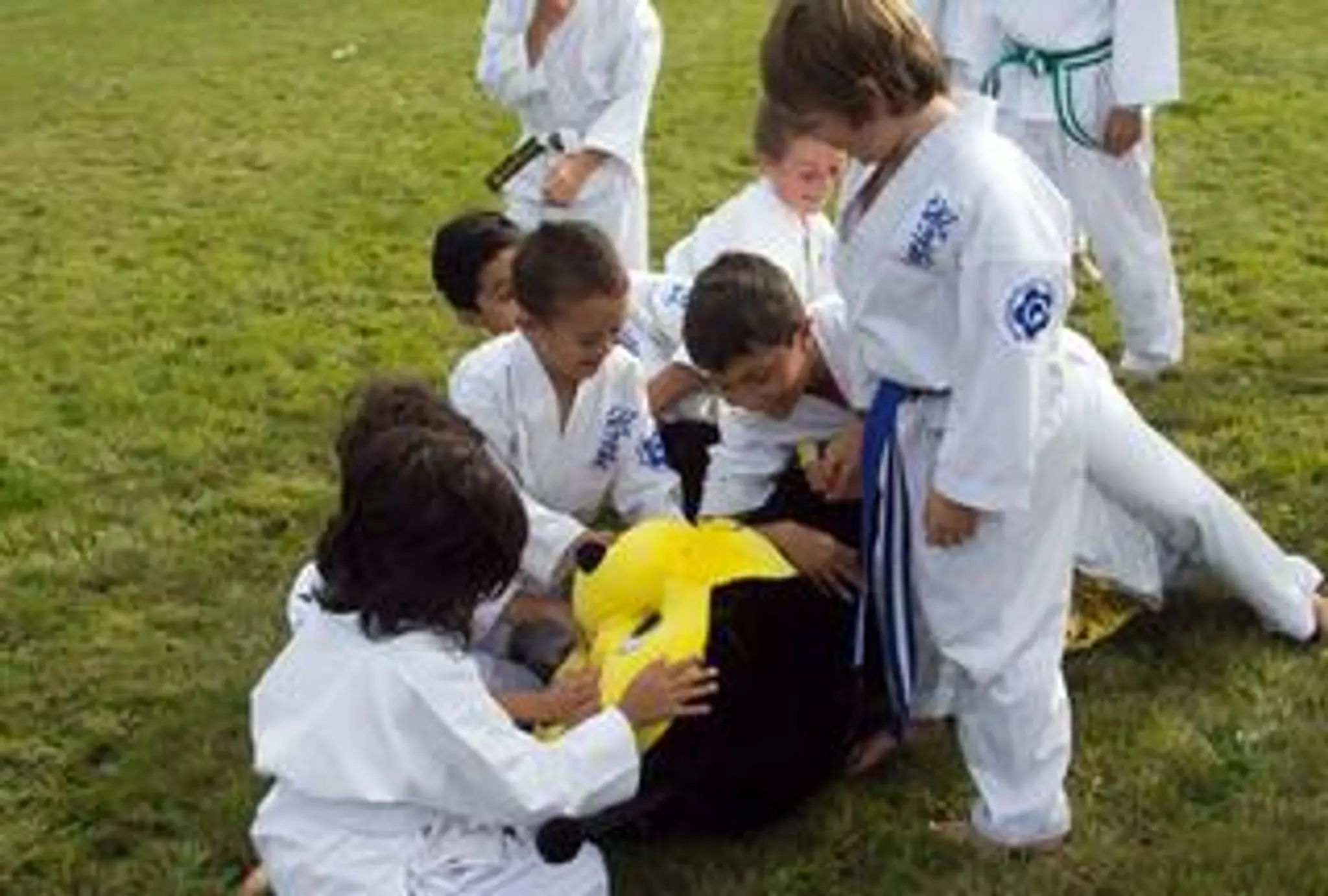 Seido Karate Upper Hutt