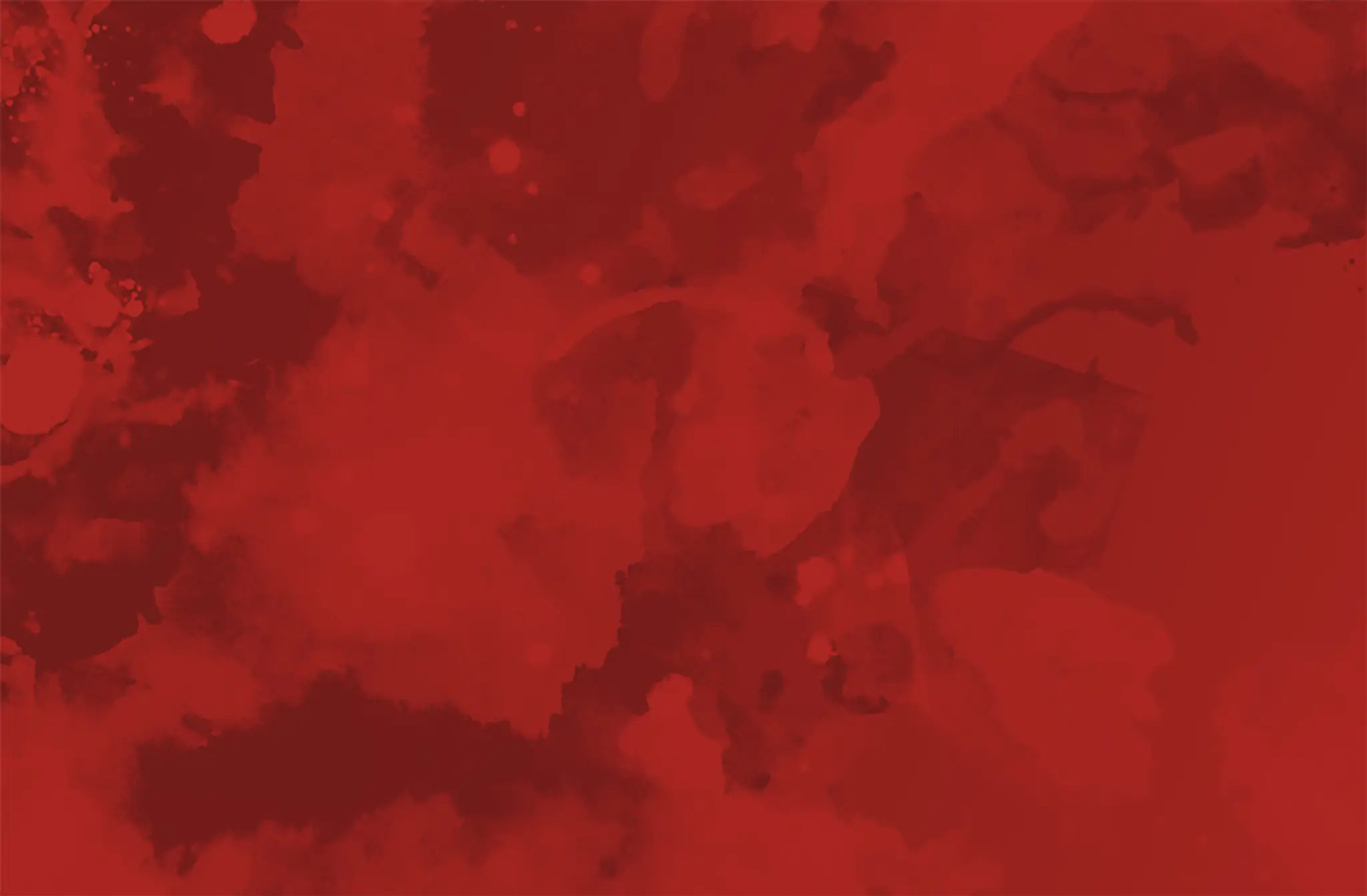 EWF Martial Arts Market Harborough