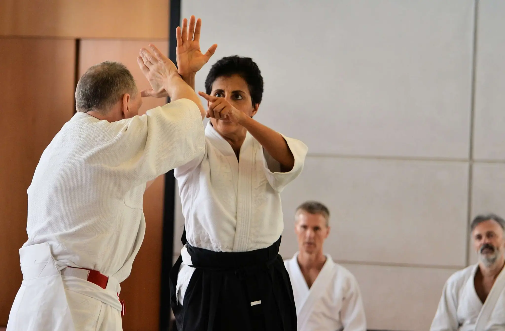 French Association Ki Aikido