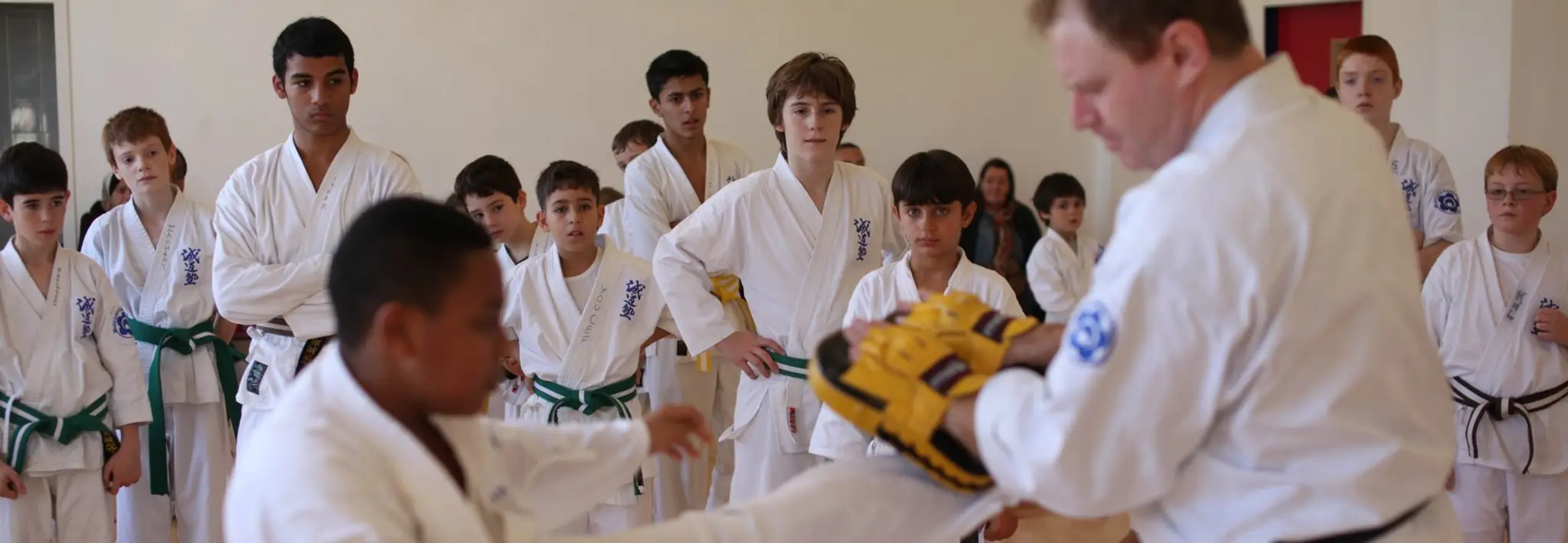 Seido Karate Tylers Green