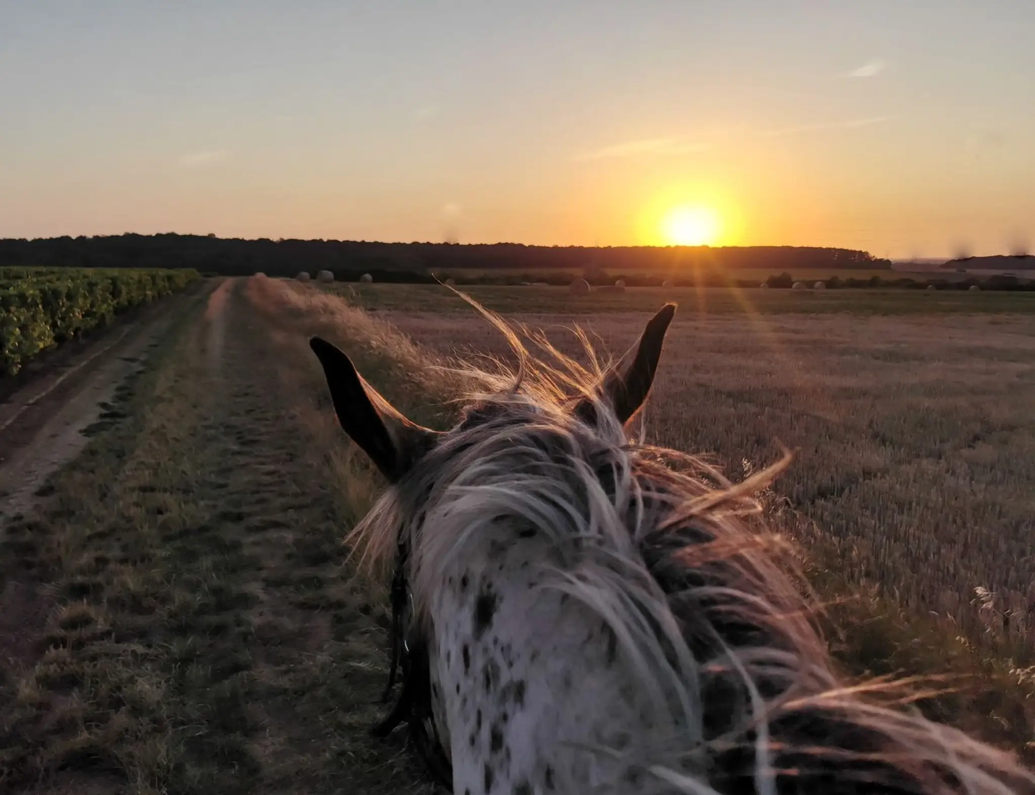 A Cheval Dans L'Yonne