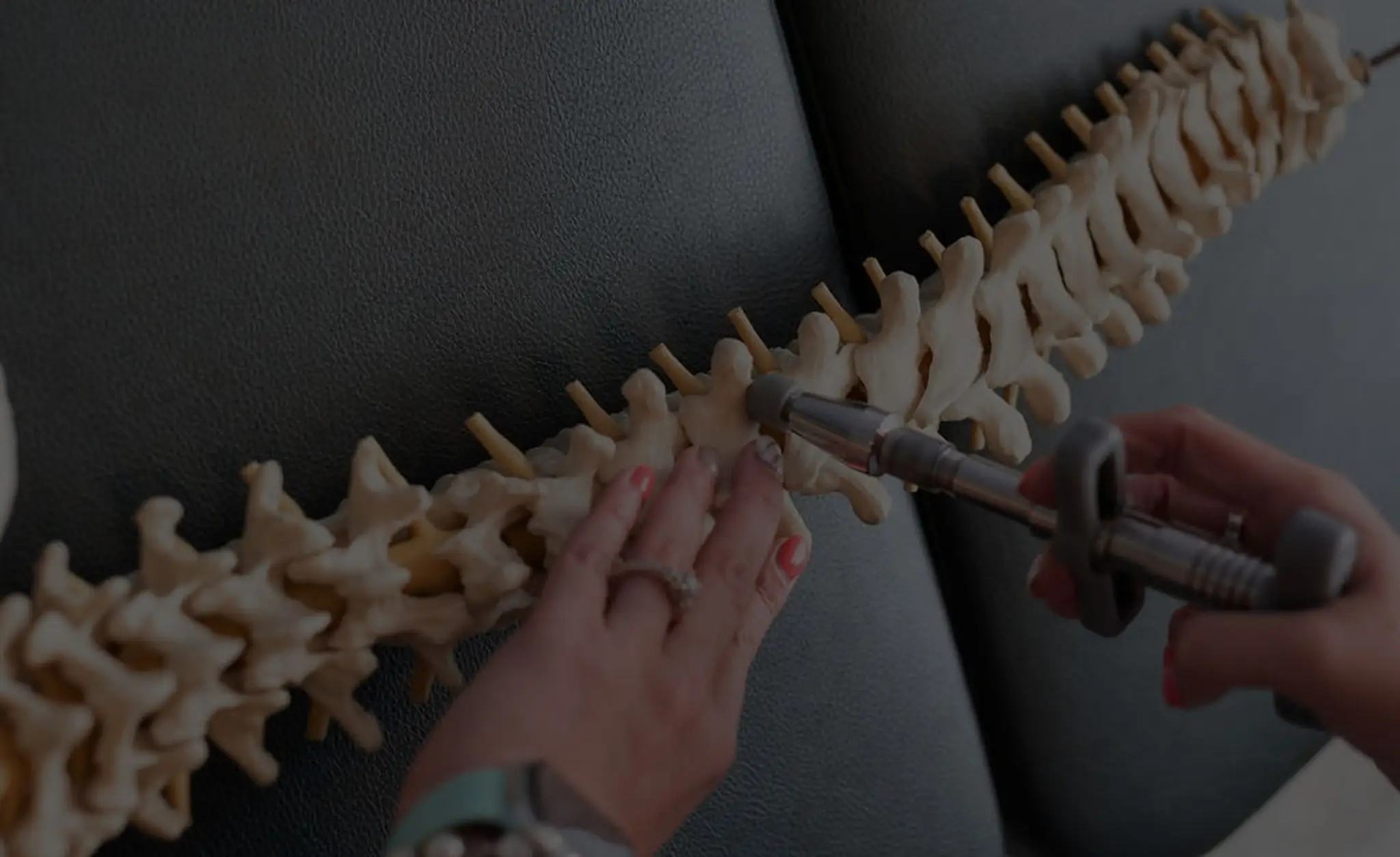 Chiropractic For Life