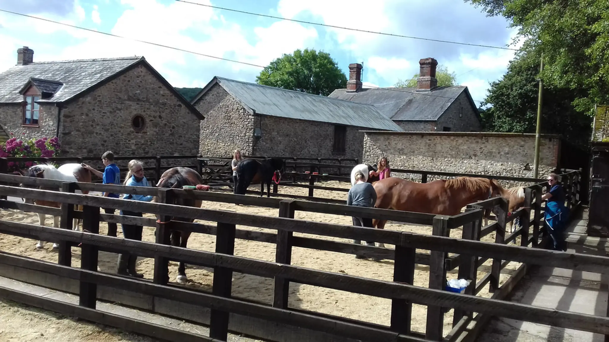 Devenish Pitt Farm & Riding School