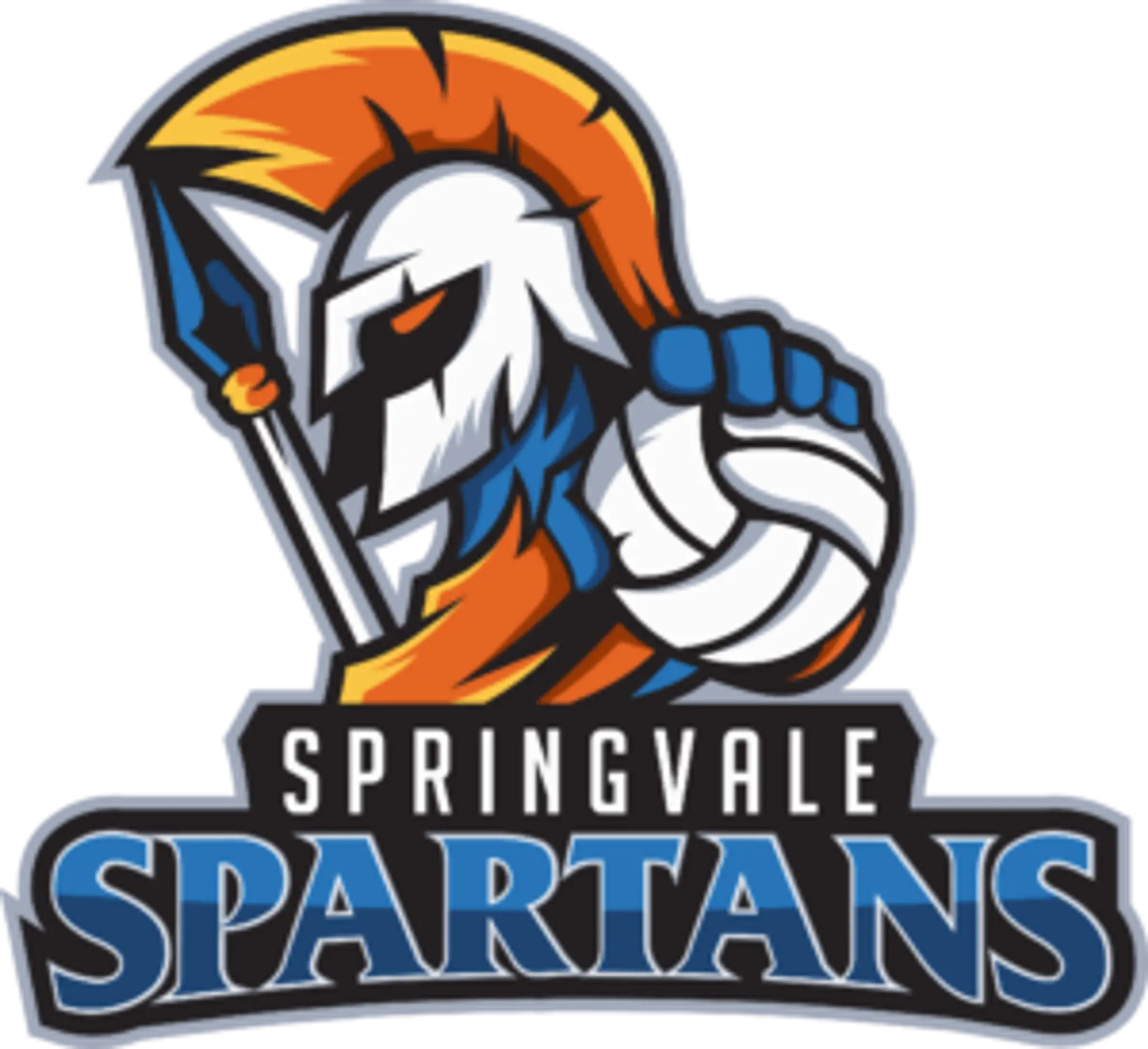 Rebound Indoor Beach Volleyball