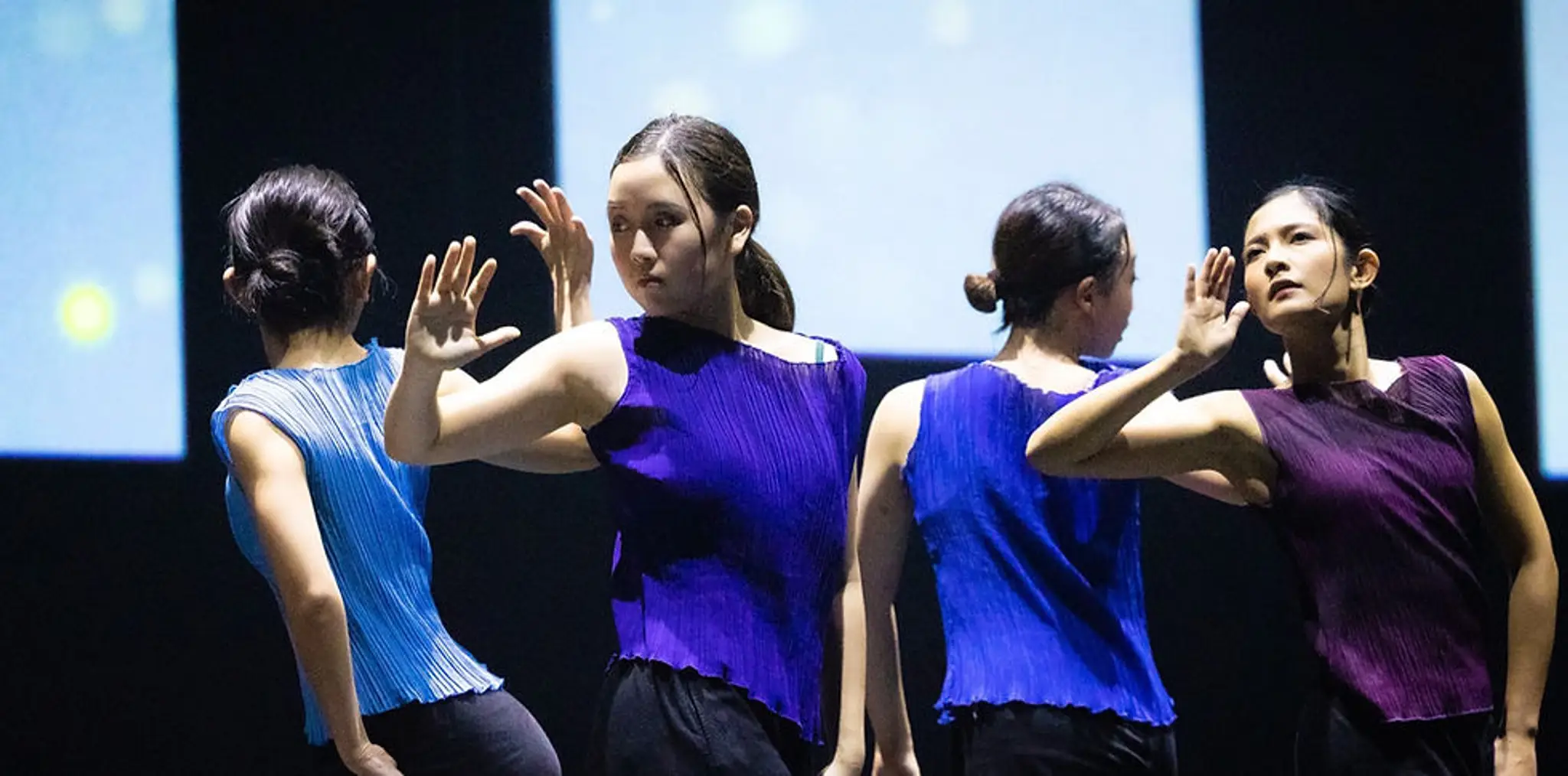 The Arts Fission Company Ltd