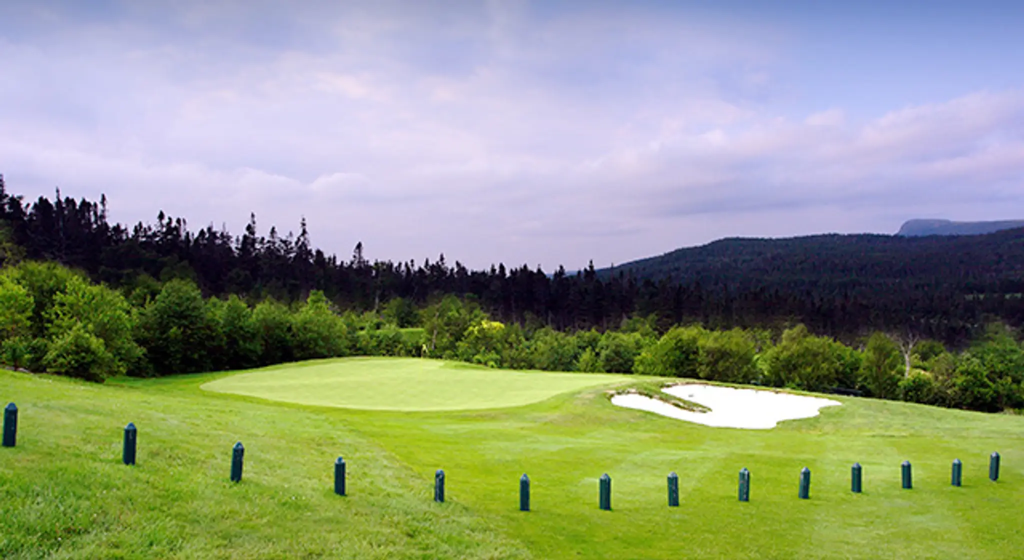 The Willows at Holyrood