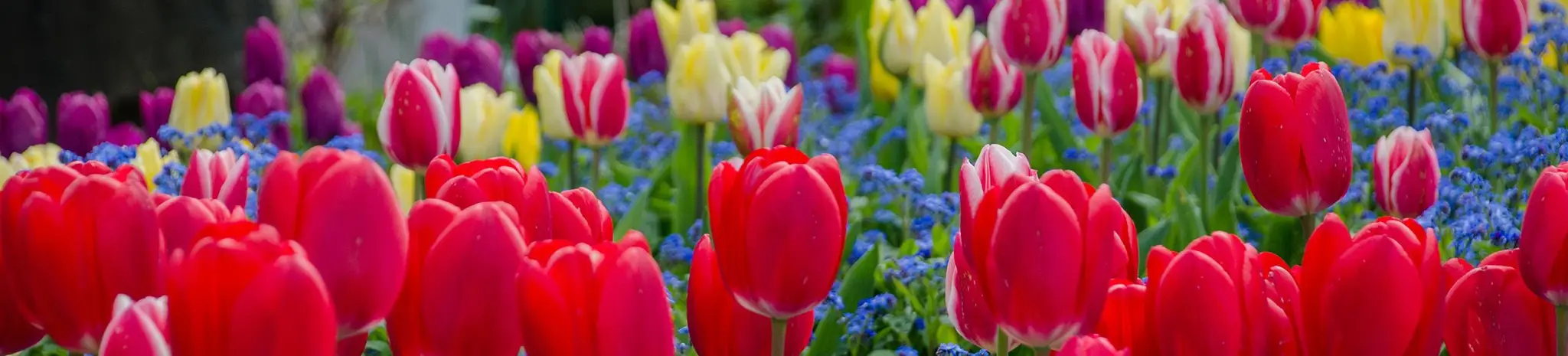 Poirier Sport & Leisure Complex