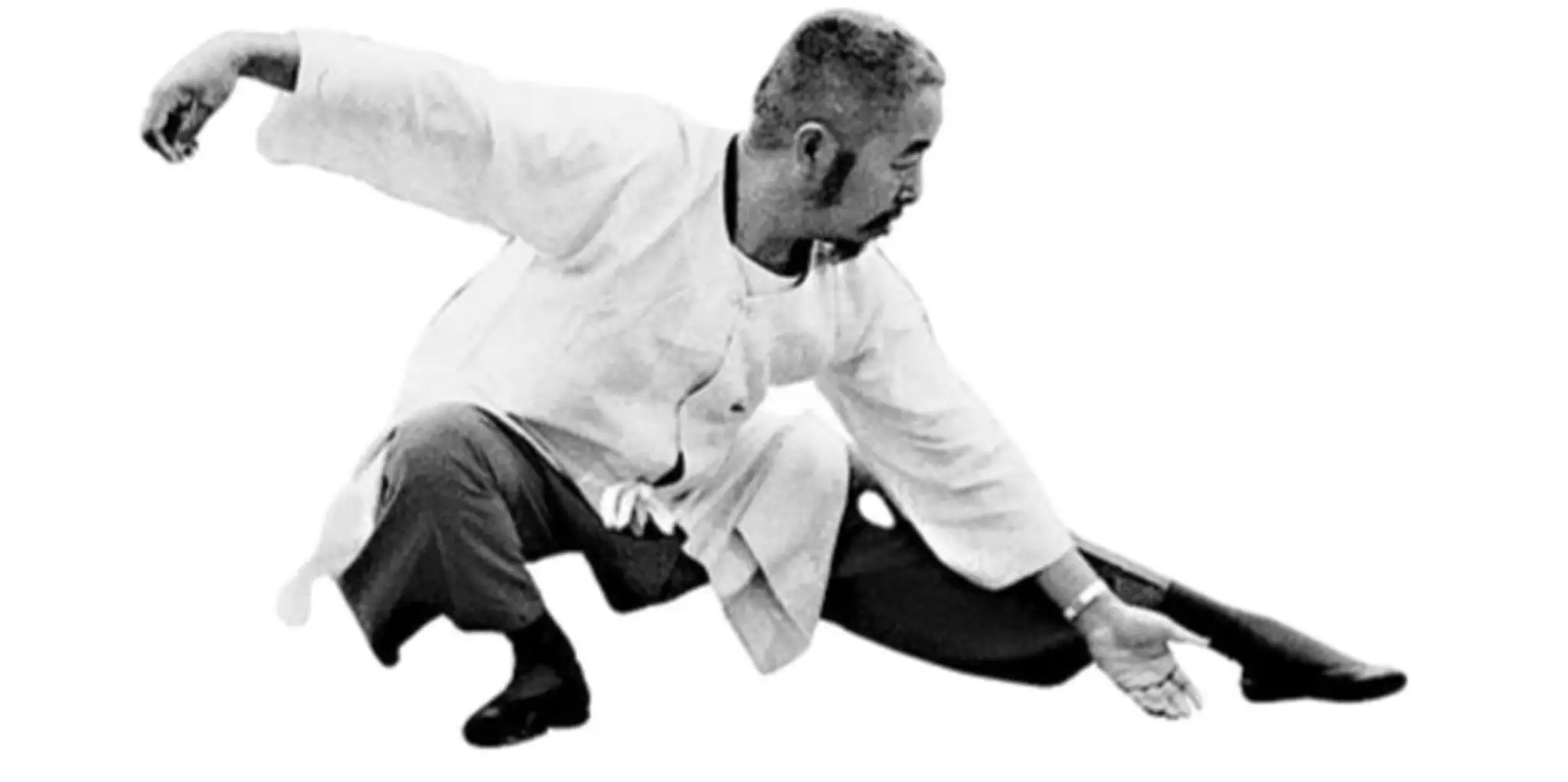 Alchemy Tree Tai Chi in the Park