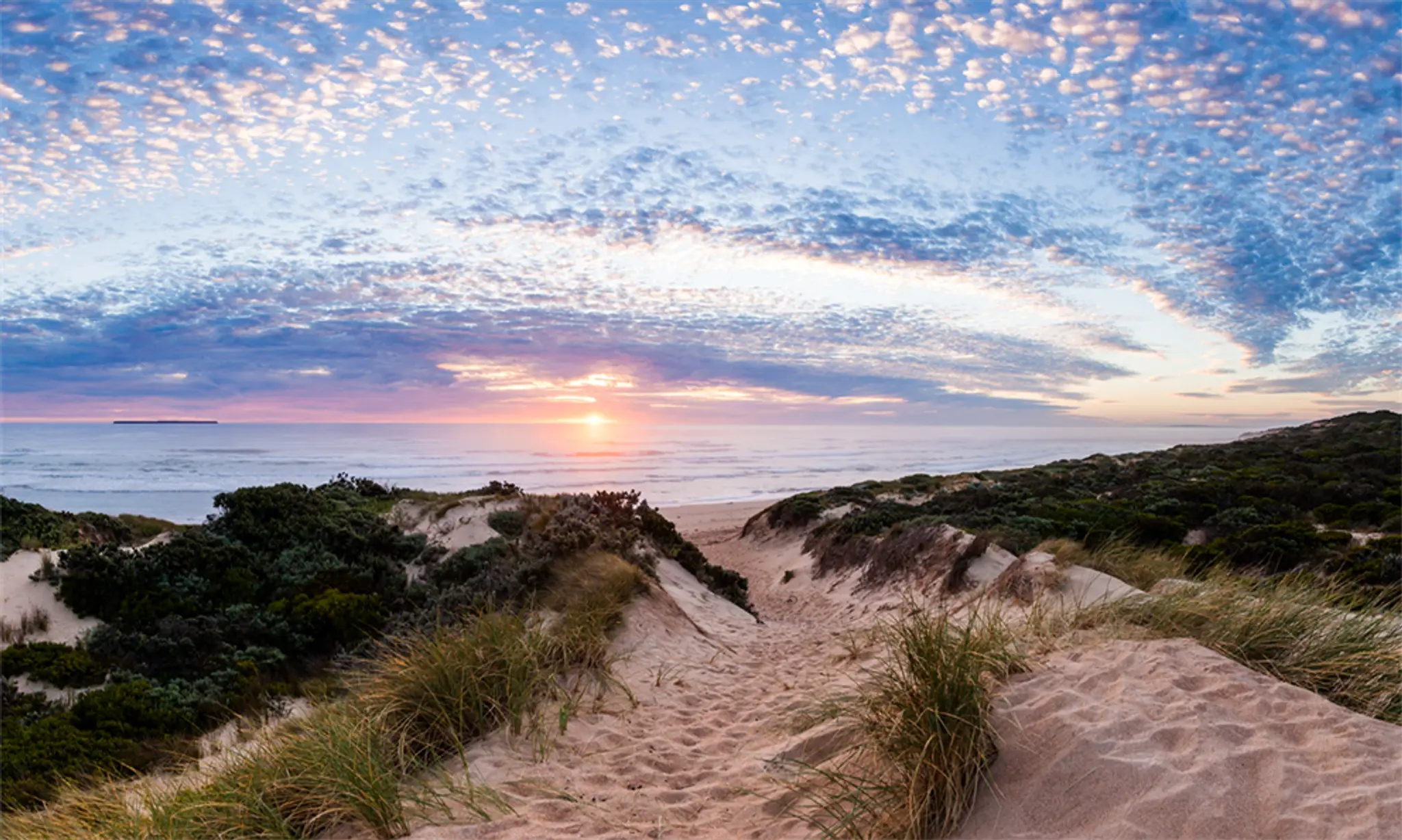 Macarthur Swimming Pool