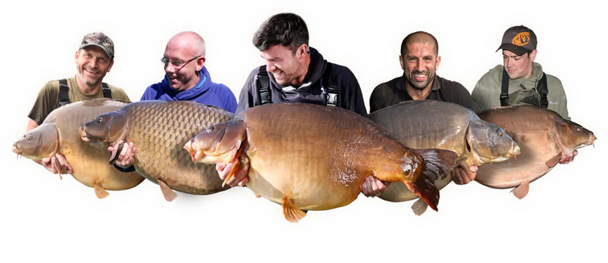 Gigantica