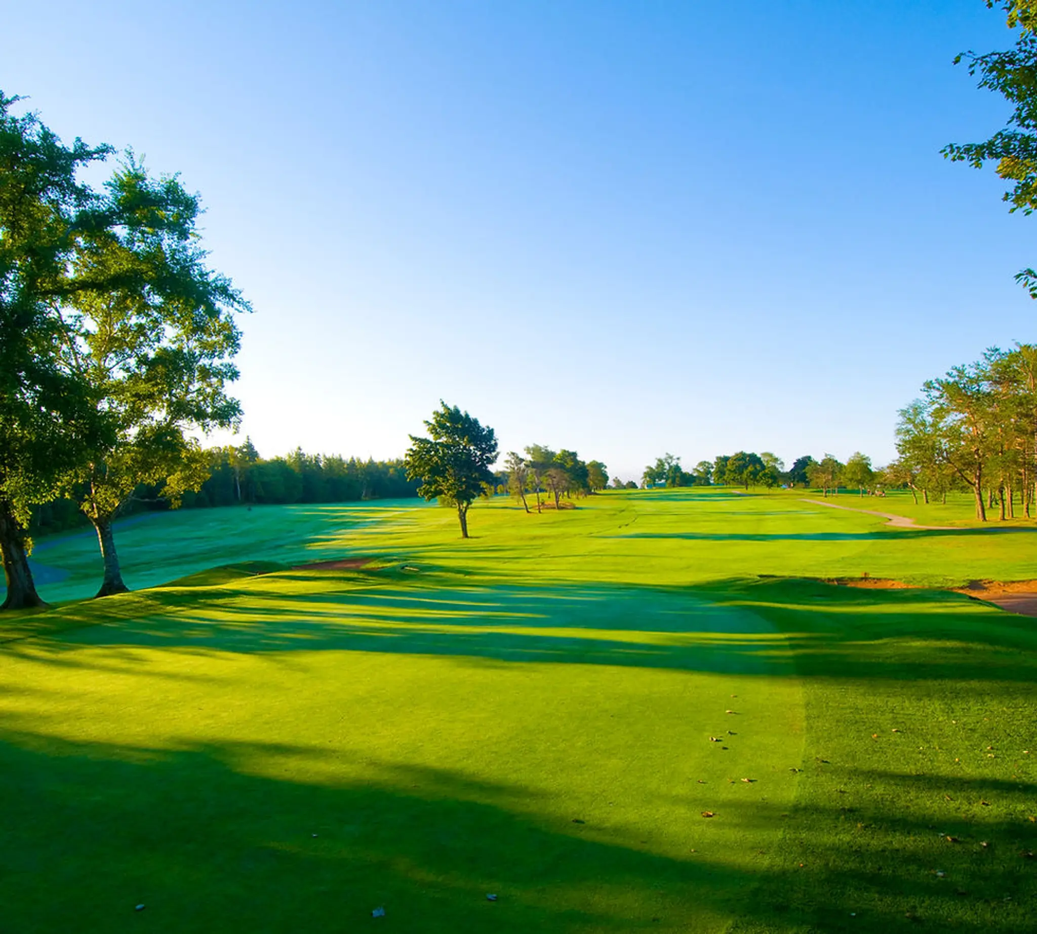 Lingan Golf Club