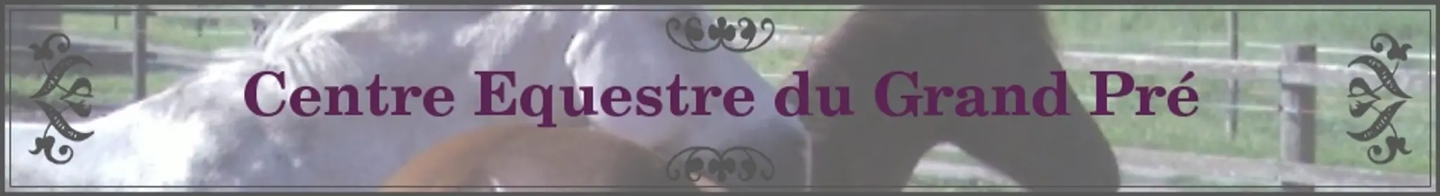 CENTRE EQUESTRE DU GRAND PRE