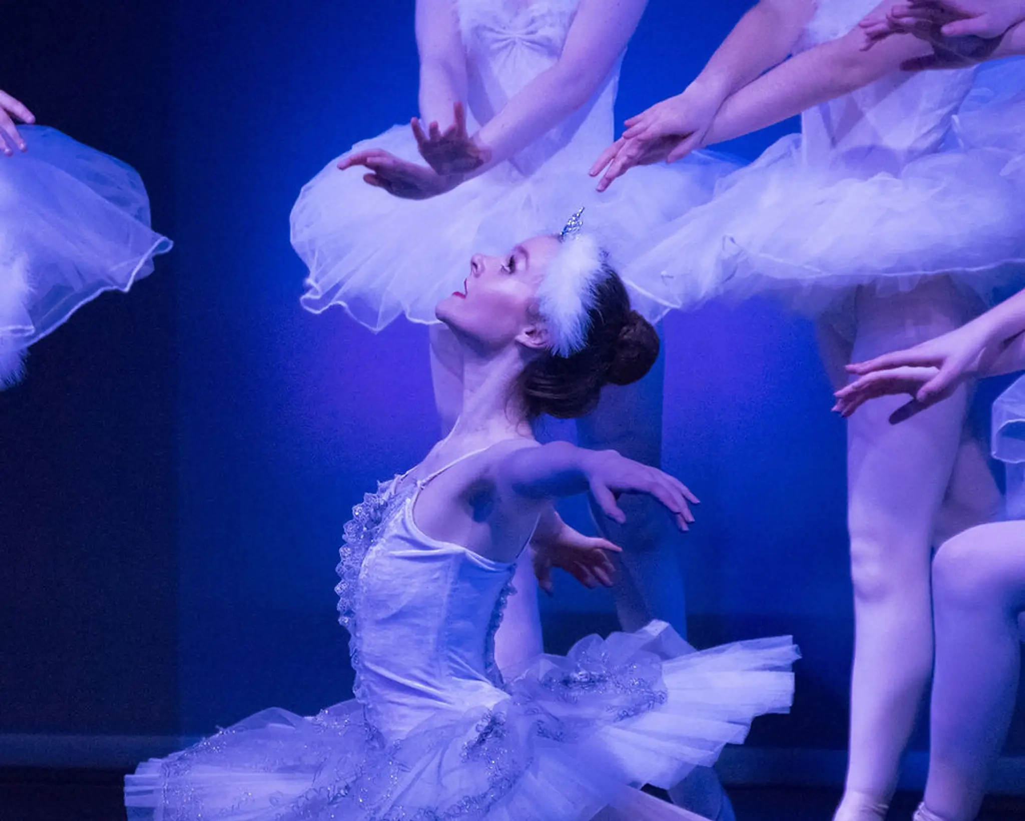 Bluebell School Of Dance