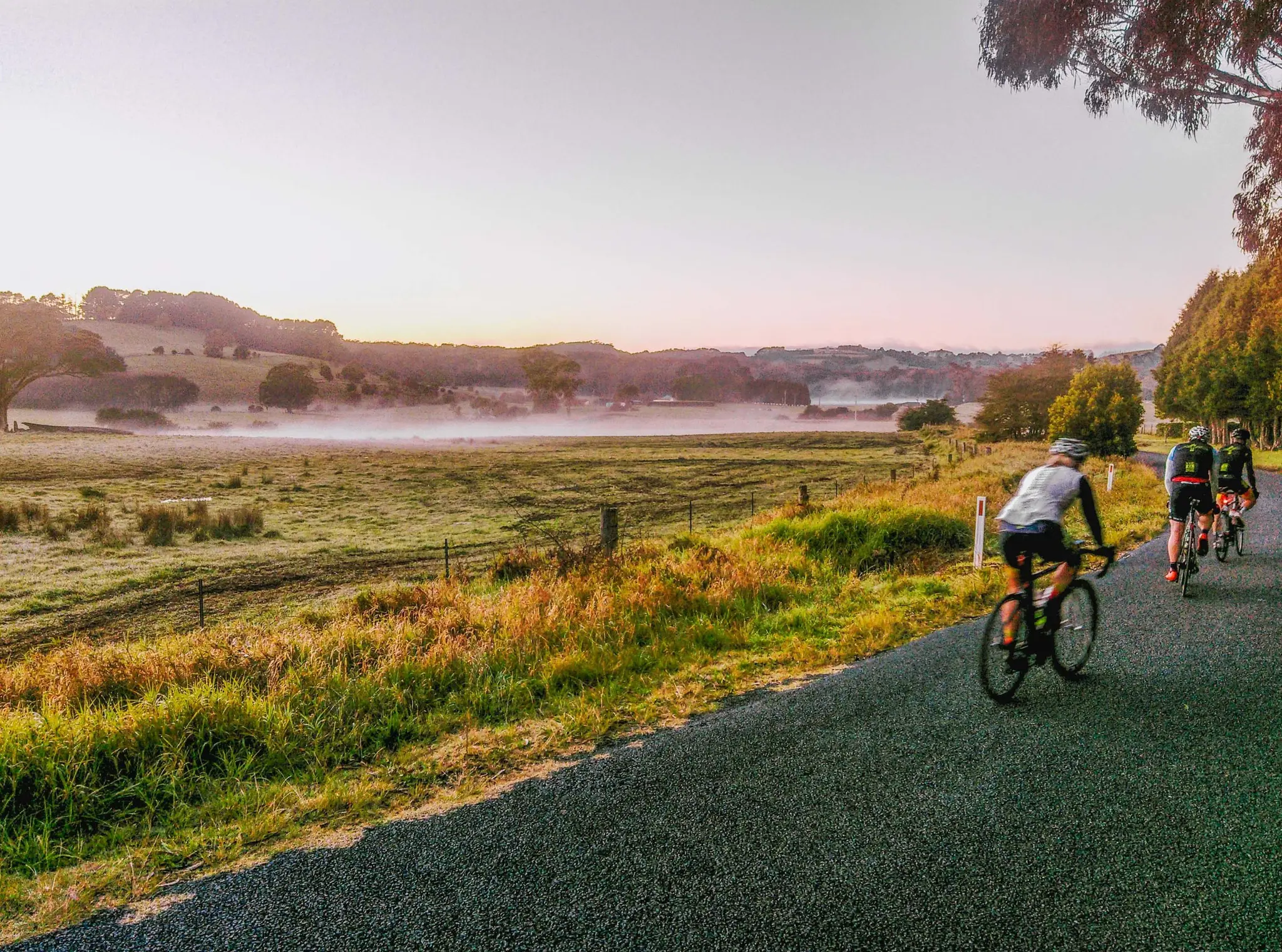 Cycle Tours NSW