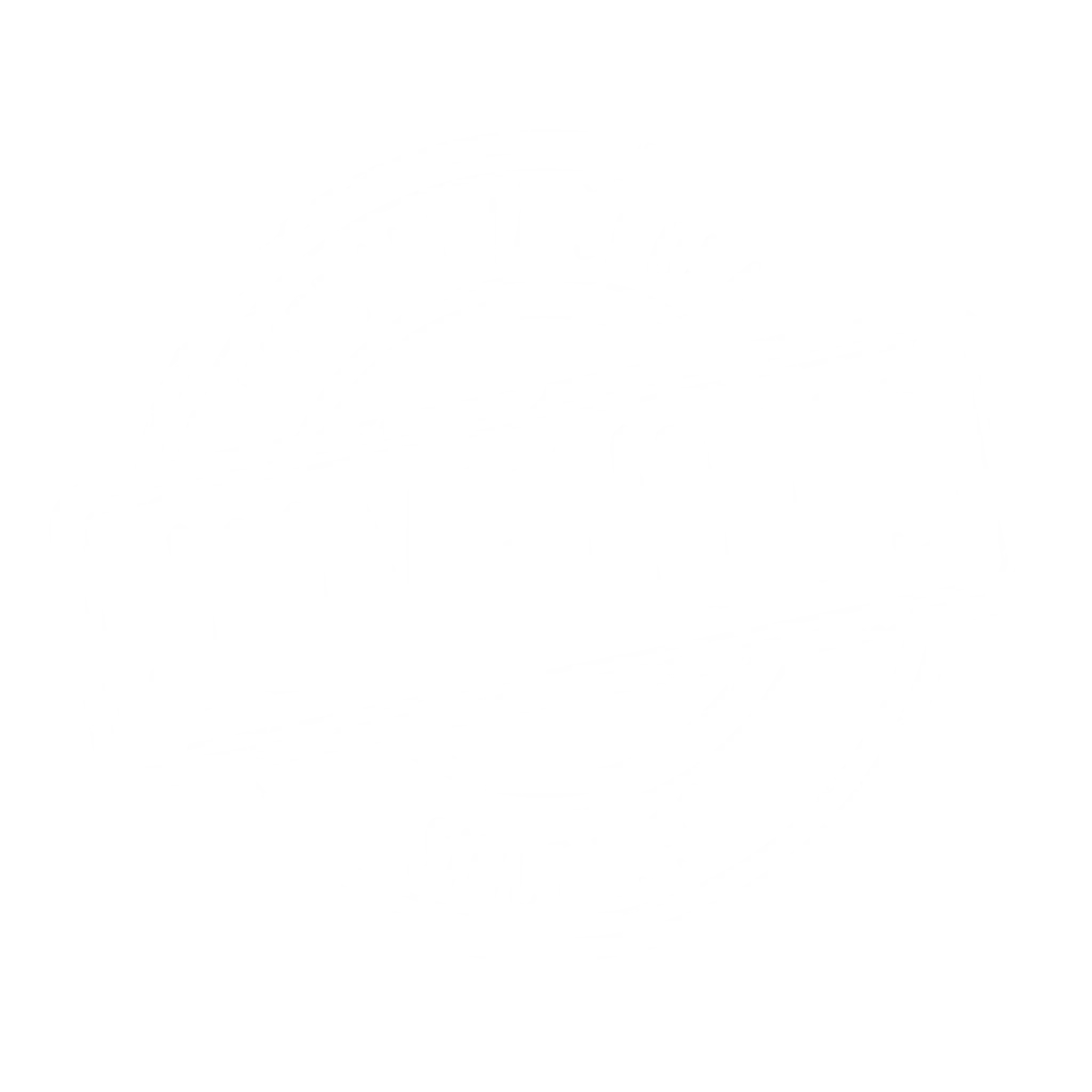 Futbalová škola Juventus