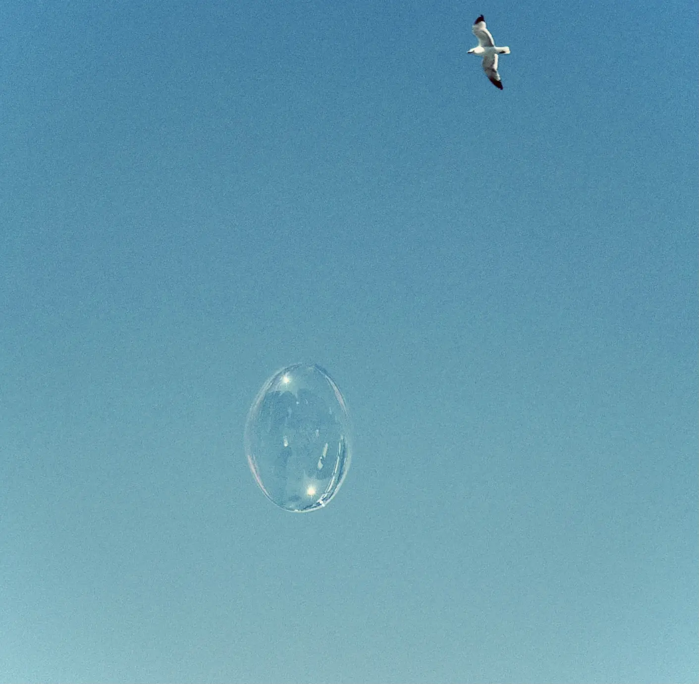 Comme Dans Ta Bulle