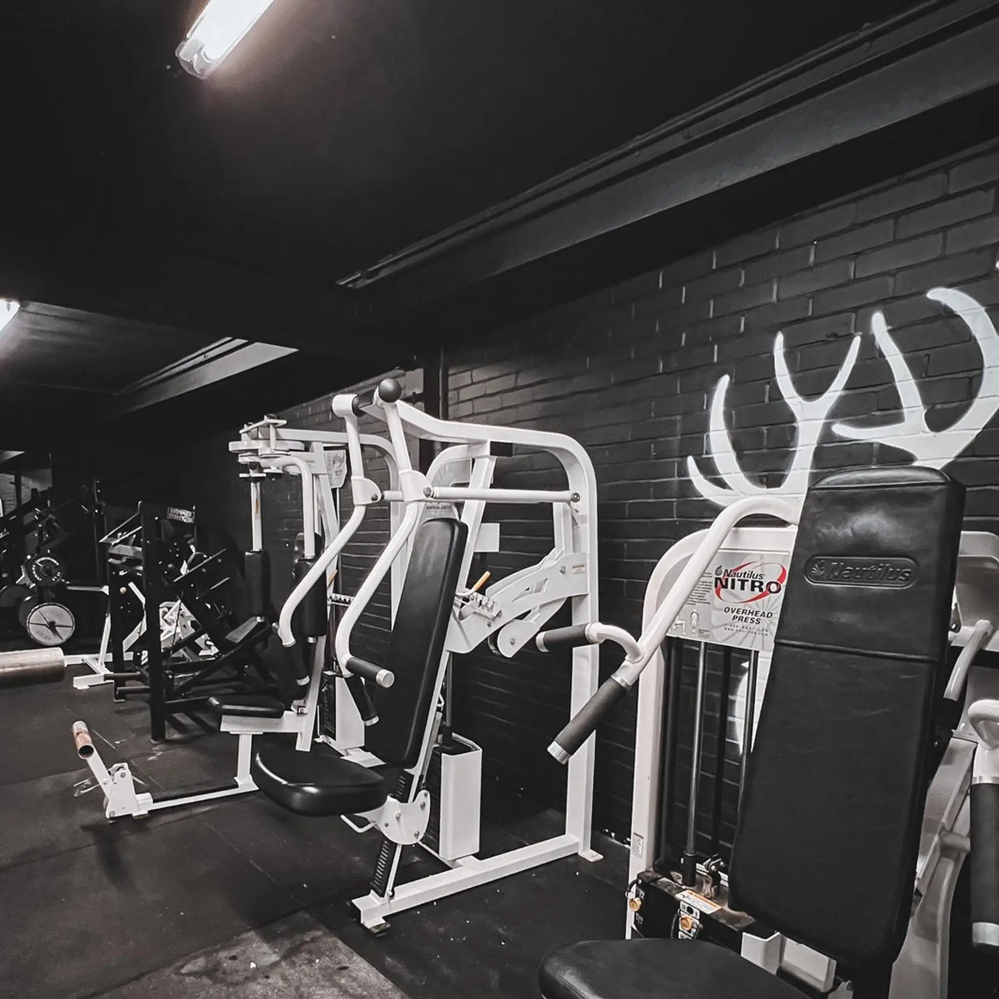 Ben Johnson Coaching