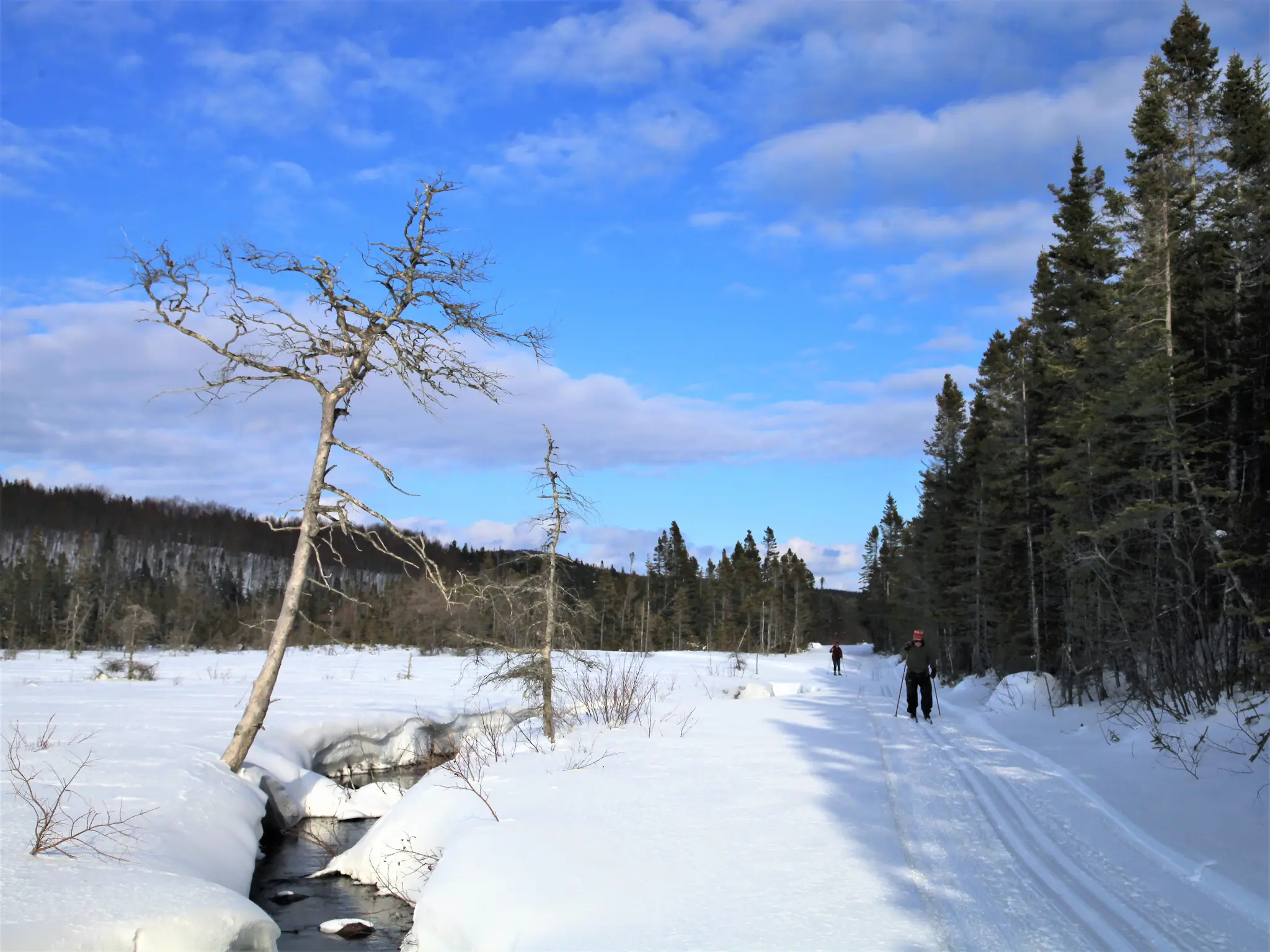 Whaleback Nordic Ski Club