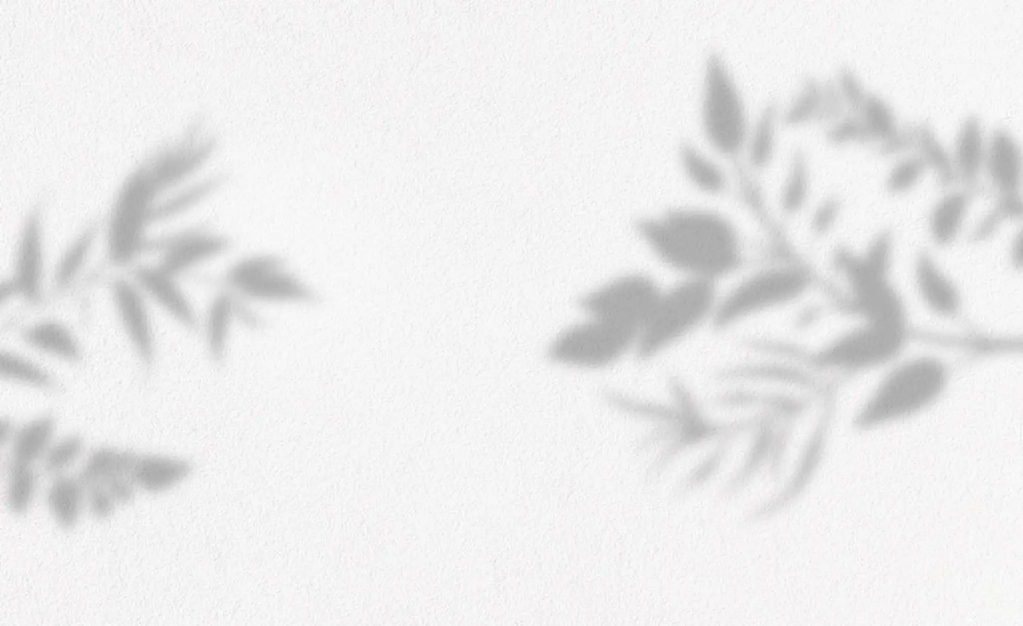 Andrea Nunnery Yoga & Reflexology