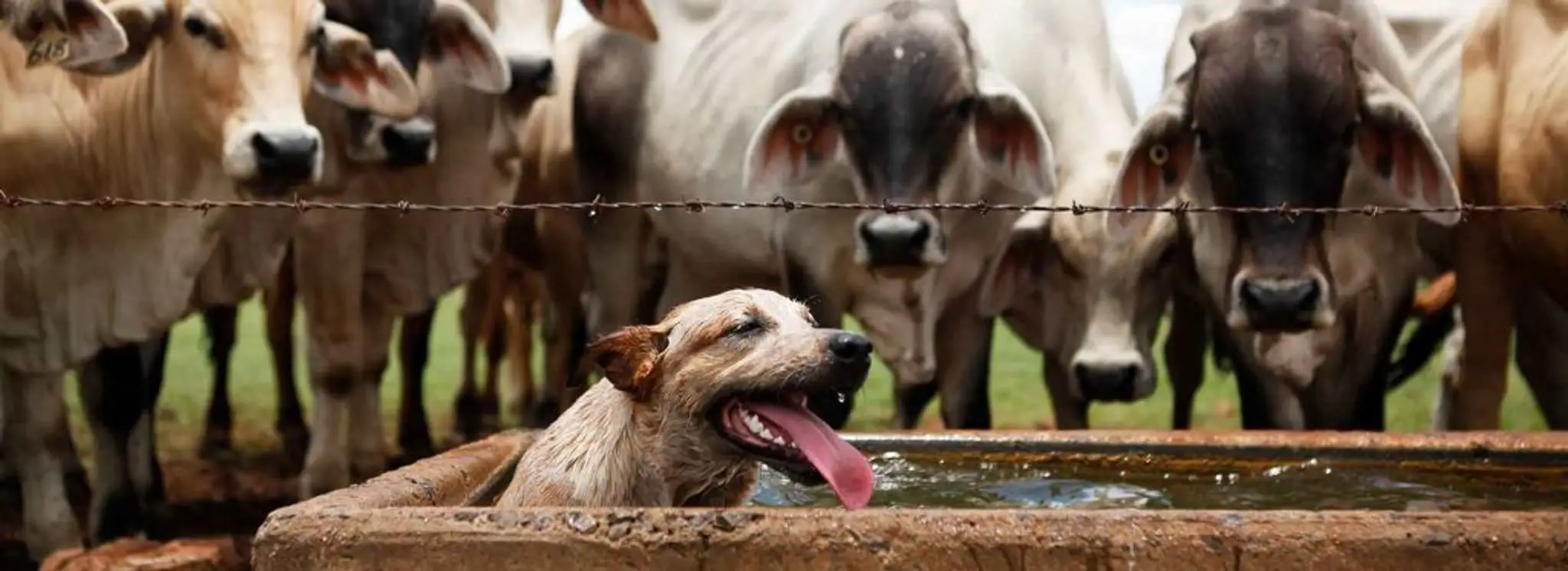 Alkoomi Adventure Farmstay and Campground