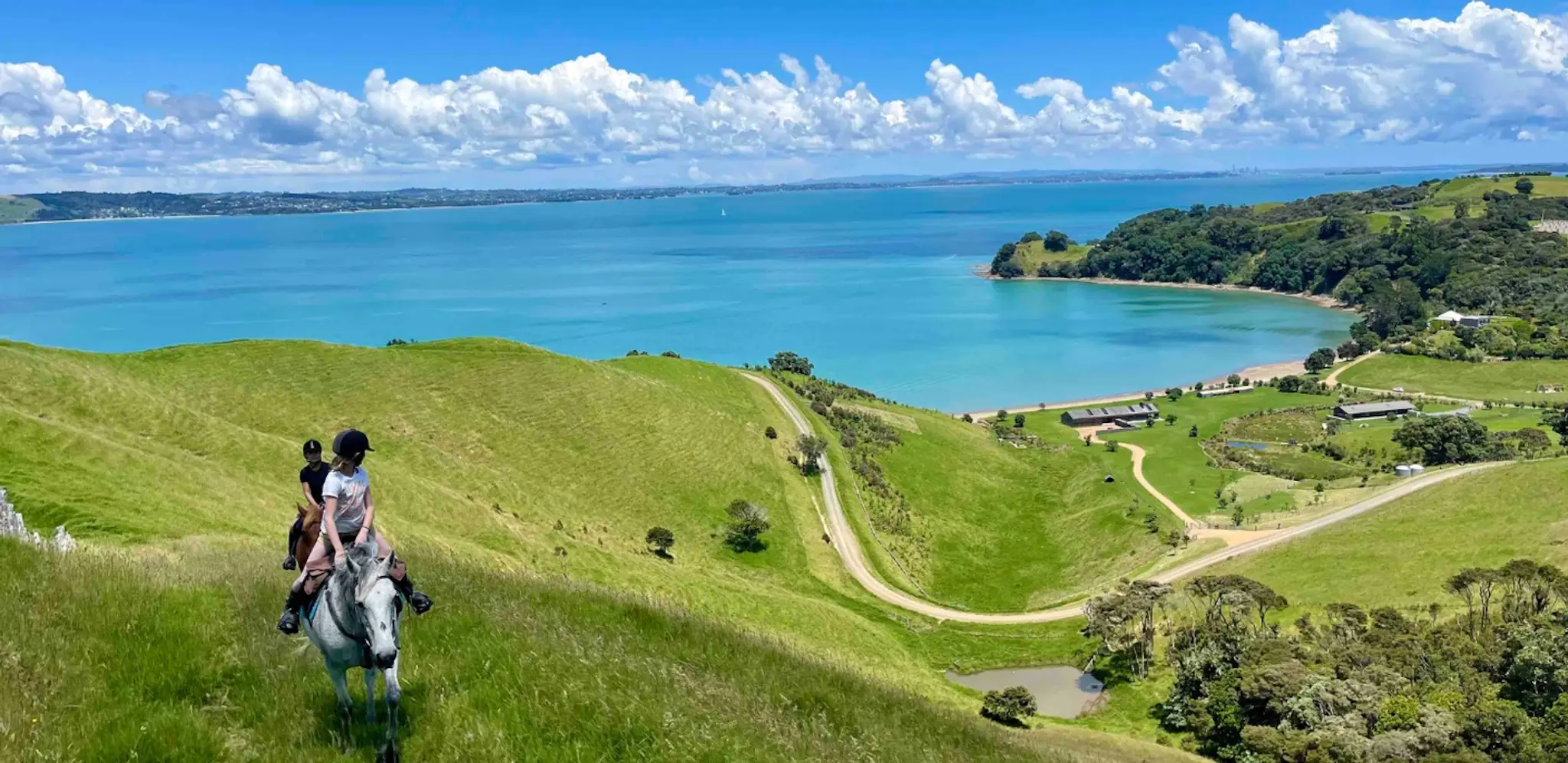 Waiheke Horse tours