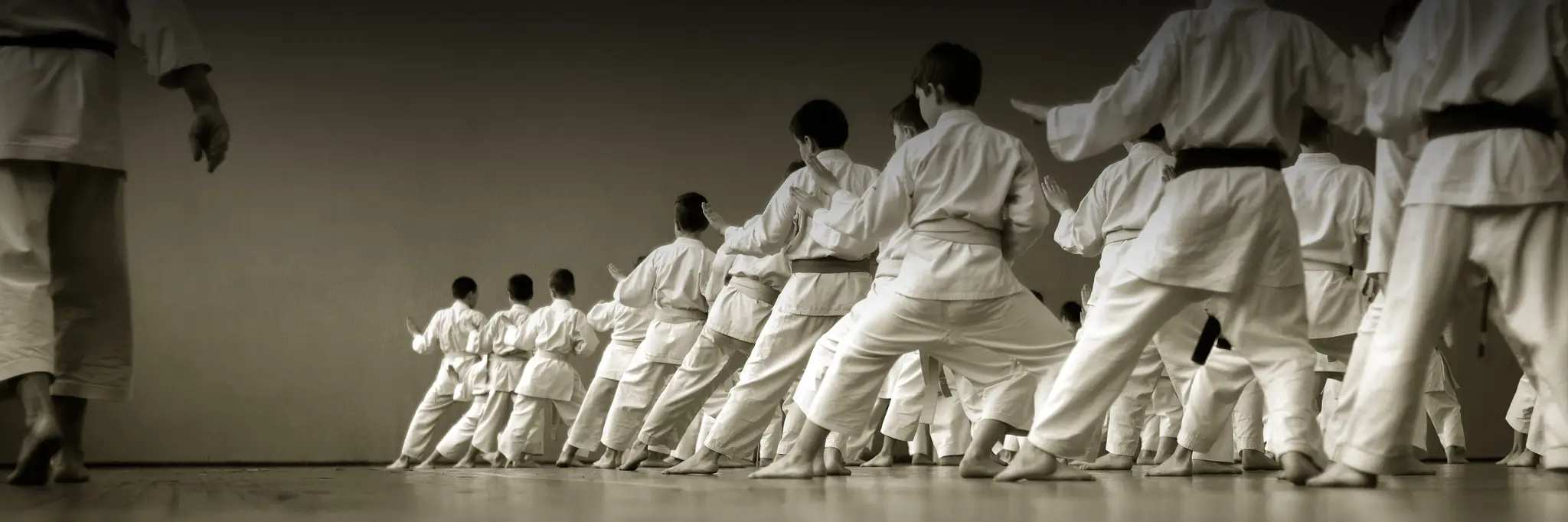 Sydney Karate Club