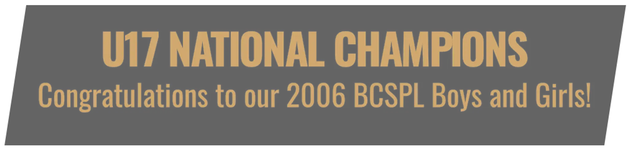 Burnaby Girls Soccer Club