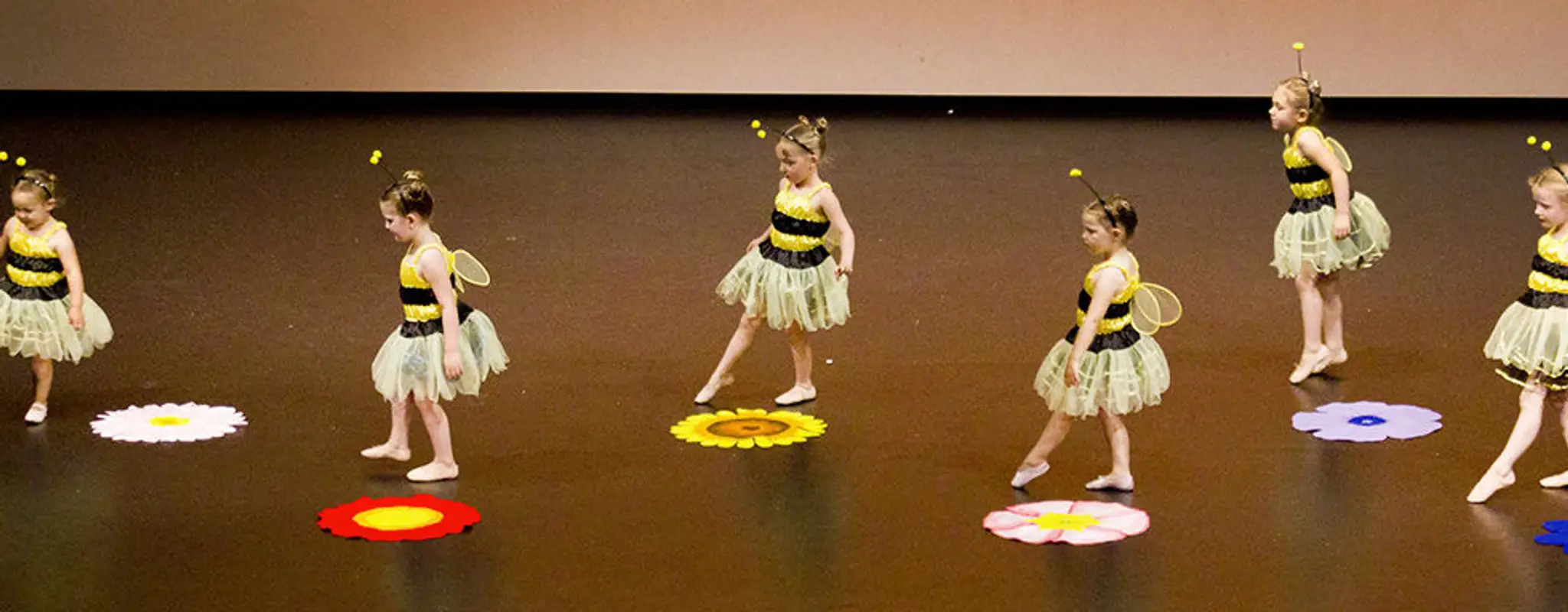 Sara Anderson School Of Dance