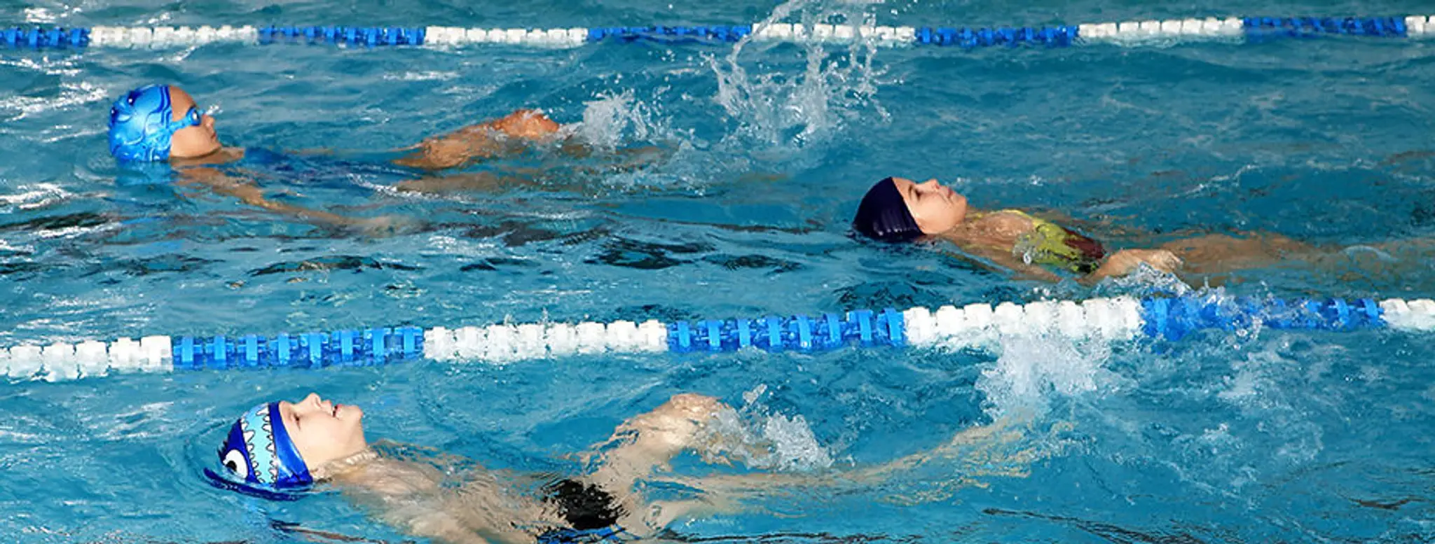 Water Lilly Swim School