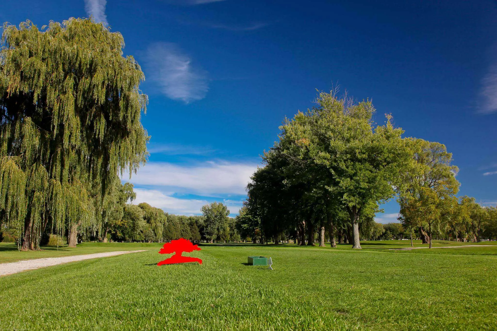 Rochester Place Golf Club