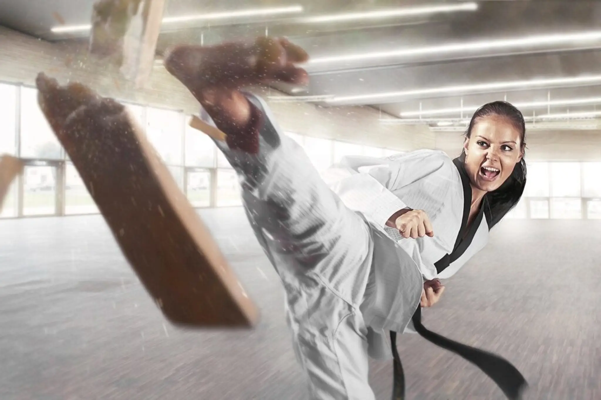 Bse 31 School Of Martial Arts Toulouse Metropole