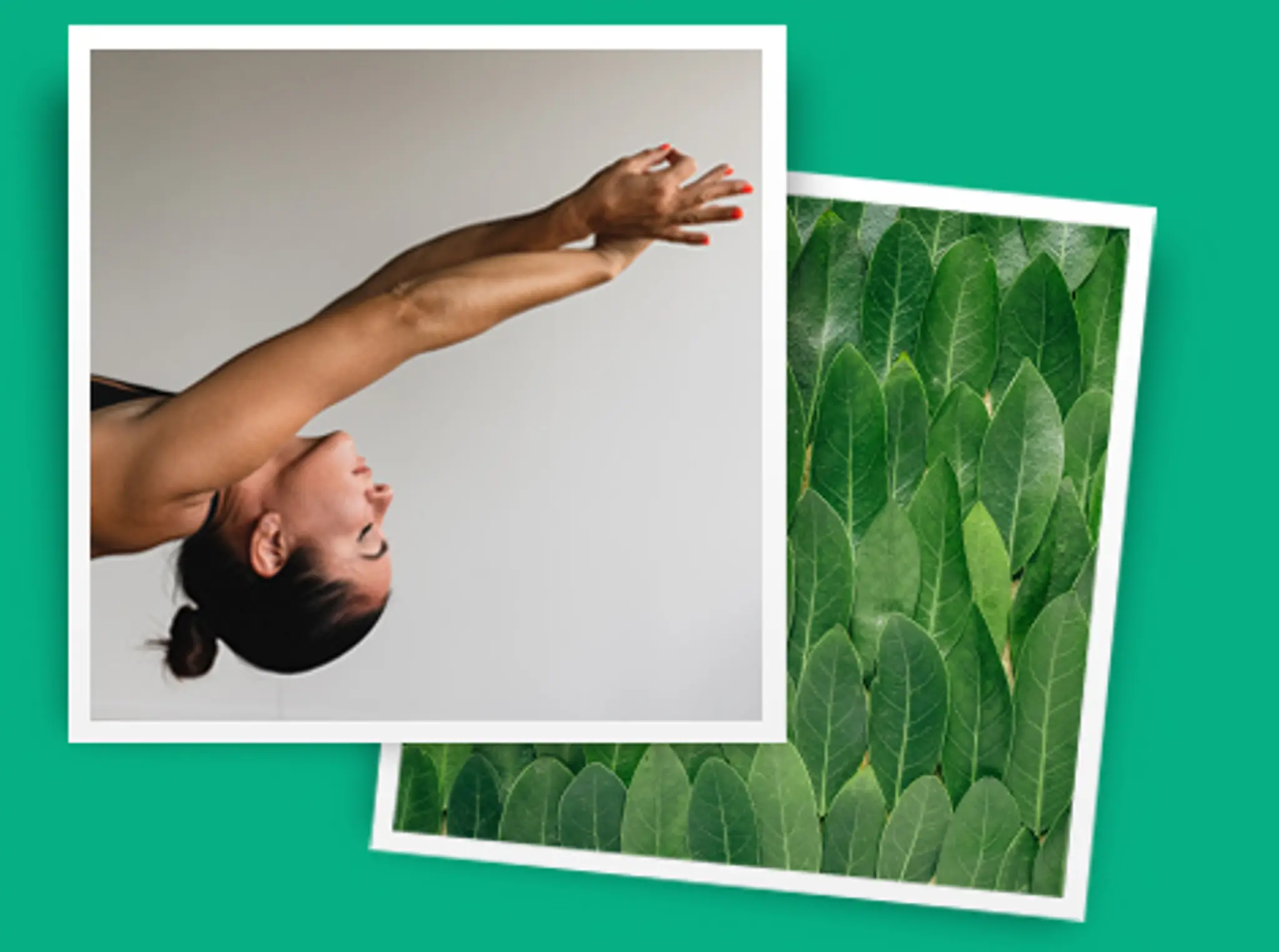 Zenbabes Baby Massage & Yoga Classes