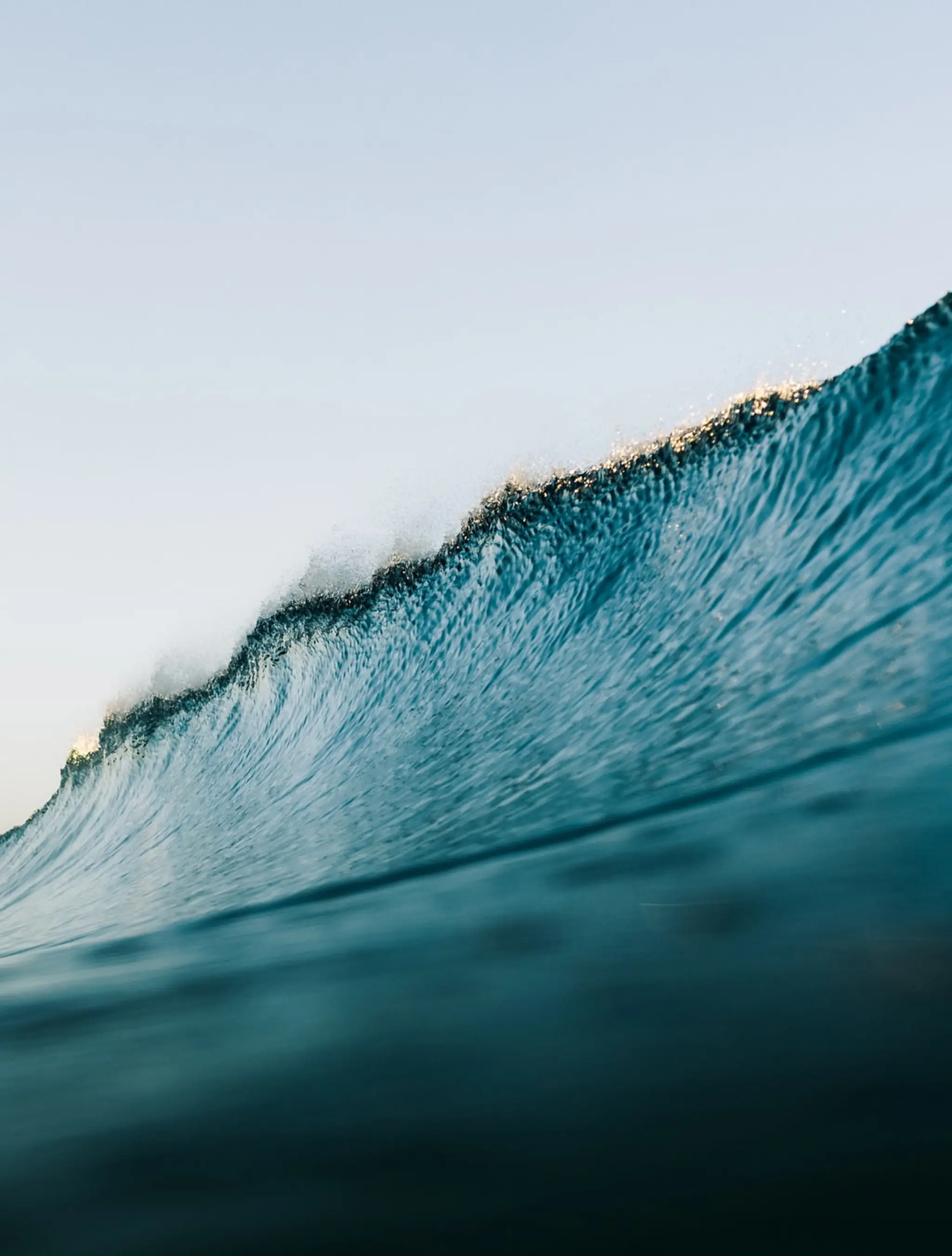 Sg Surf