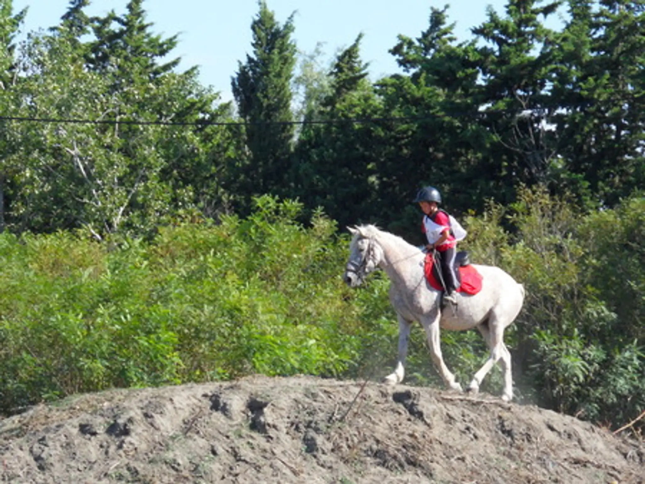 Promenades À Cheval Les Enganes