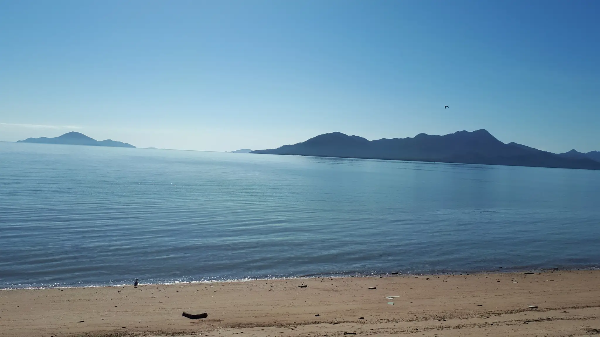 Cardwell Sport Fishing Club