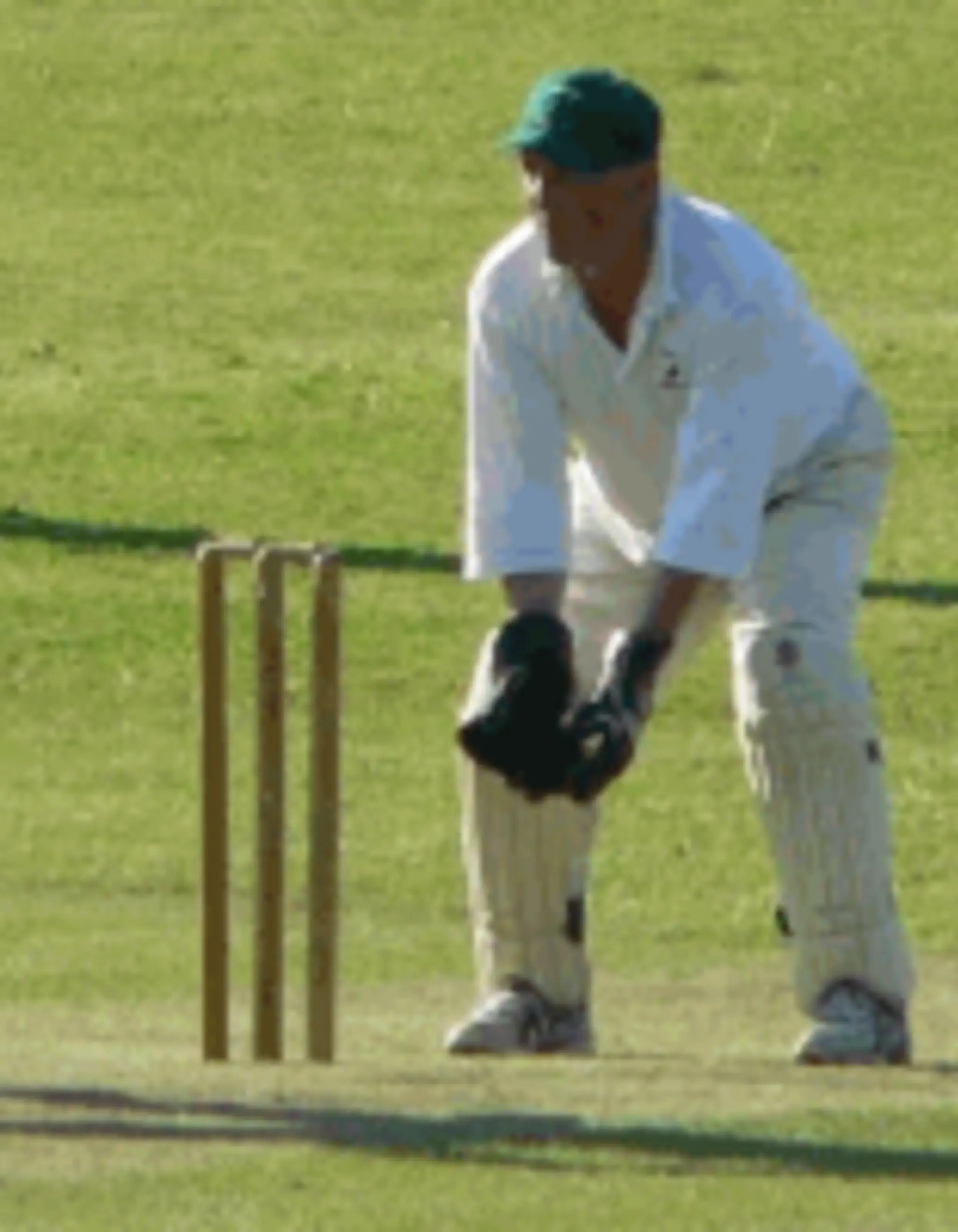 Stowting Cricket Club