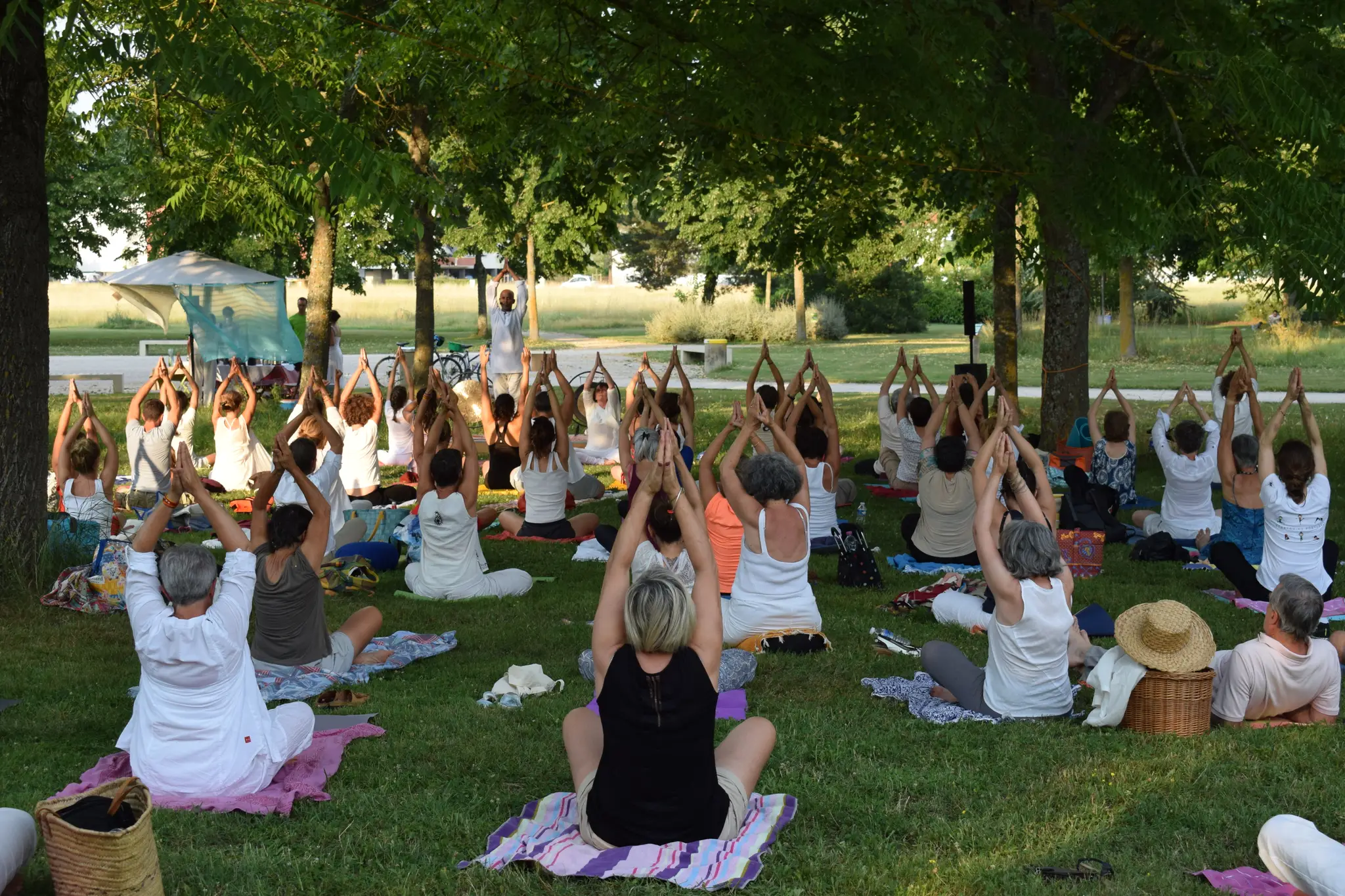 School Of Yoga Gayatri