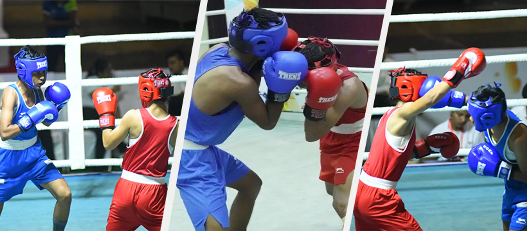 Haryana Boxing Sangh