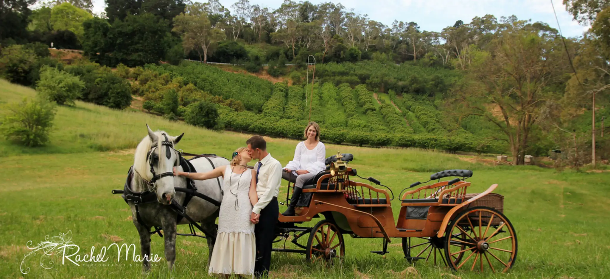 Classic Carriage Drives