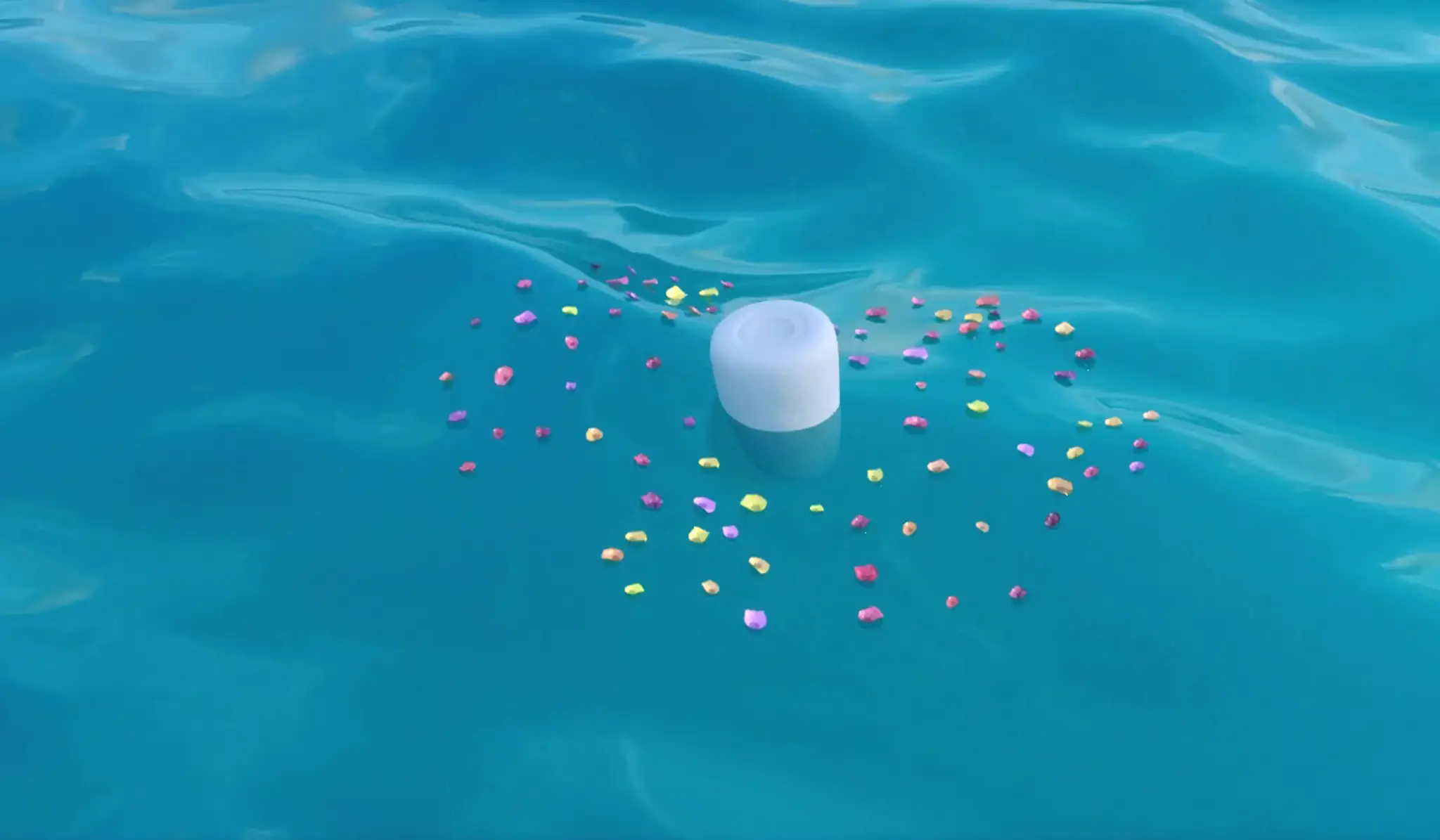 Carlingford Lough Sea Tours