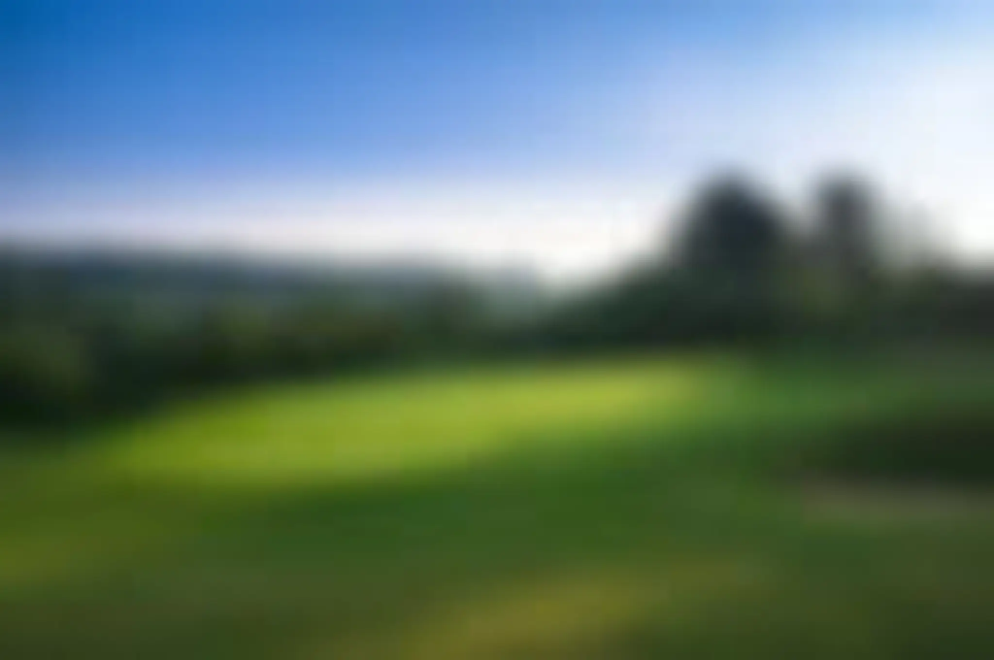 Surrey Downs Golf Club by Orida