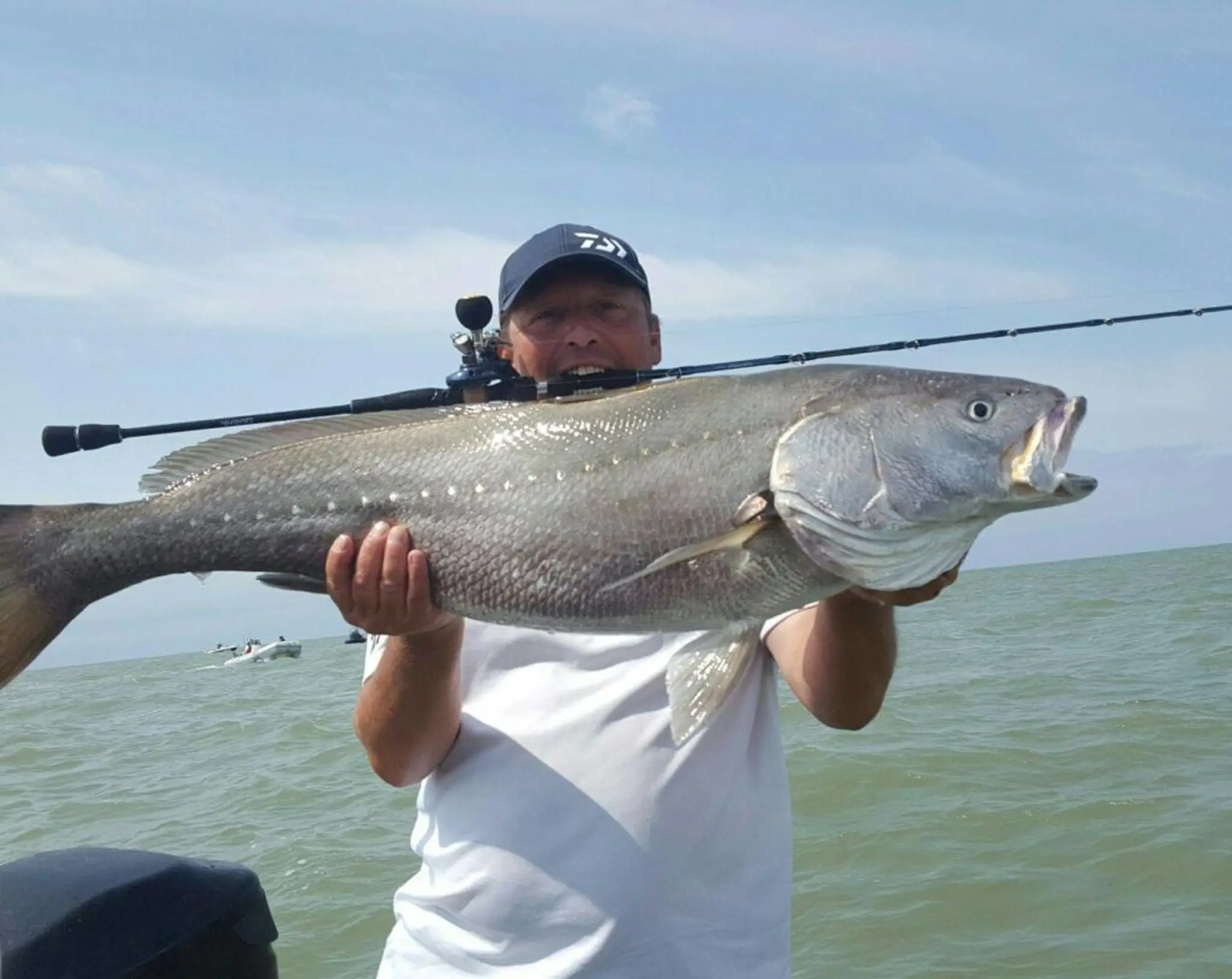LALULE - Guide pêche à La Rochelle