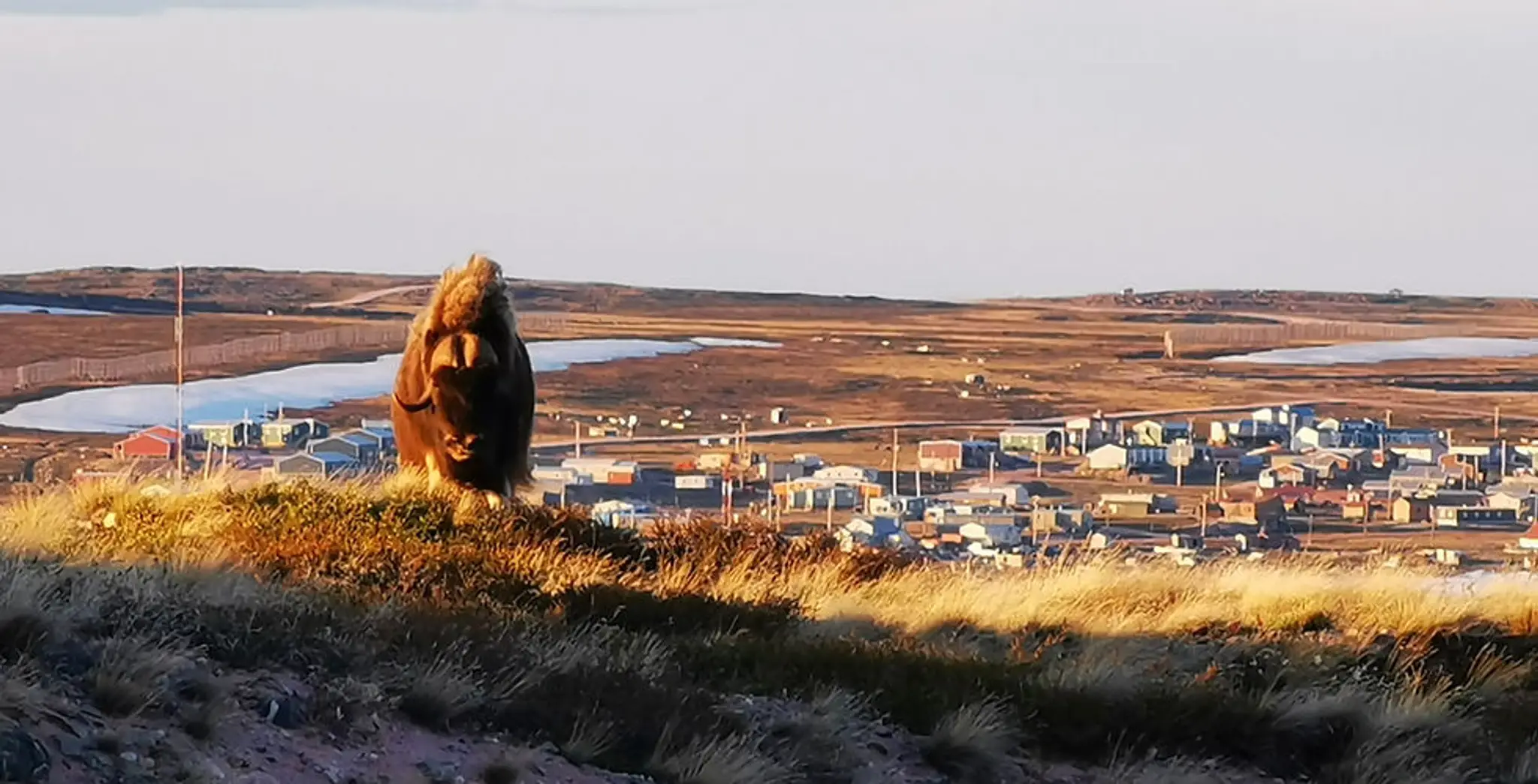 Municipality of Baker Lake Swimming Pool