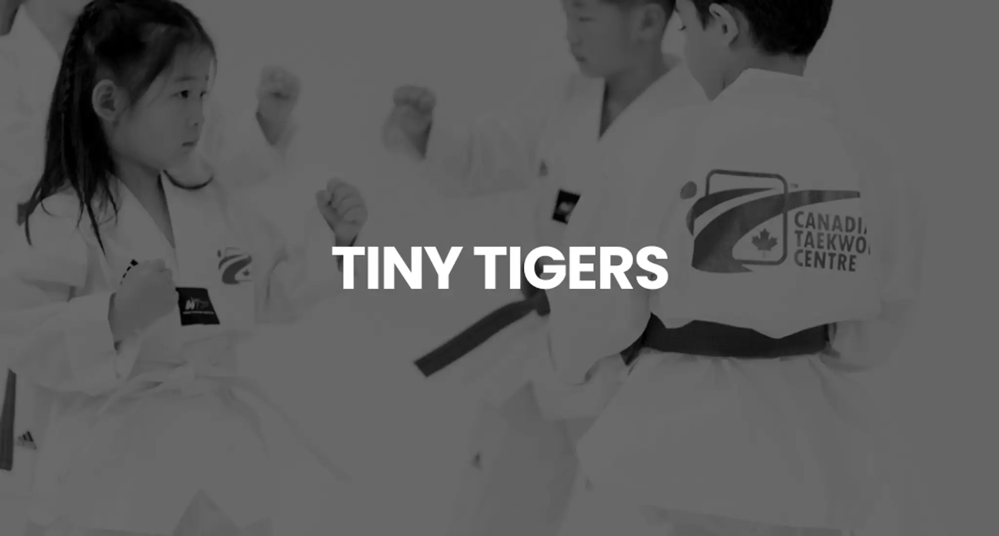 Canadian Taekwondo Centre (