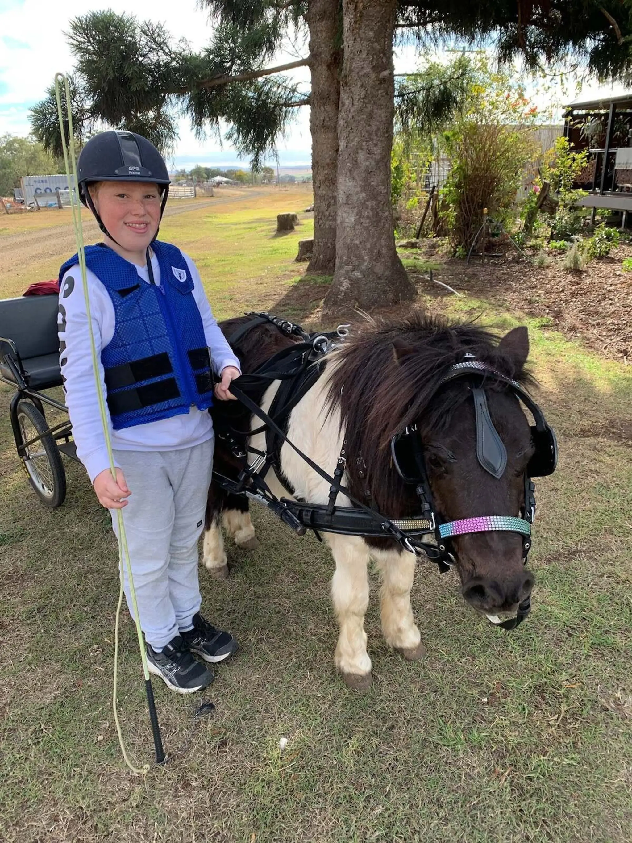 Horse Print Equine Assisted Learning