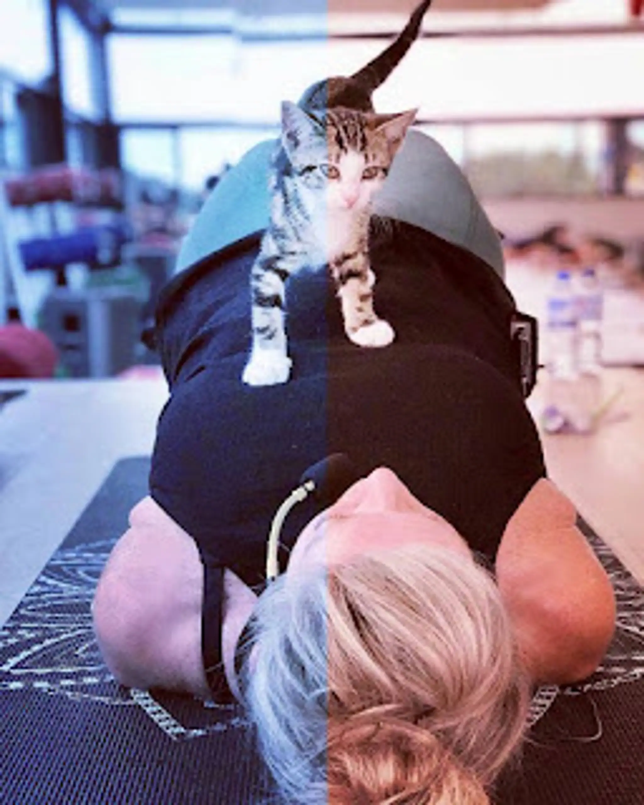 Regenerate Personal Training (Marg Anderson)