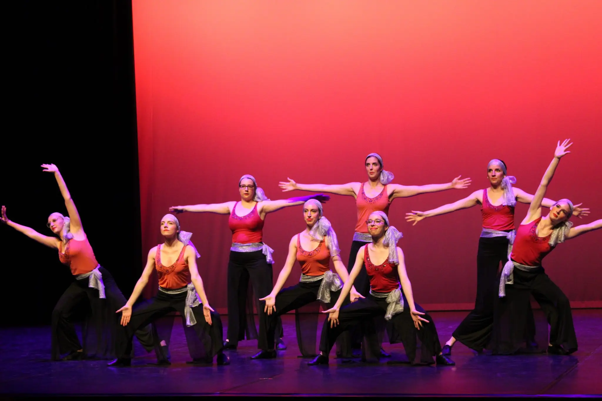 Danses Plurielles