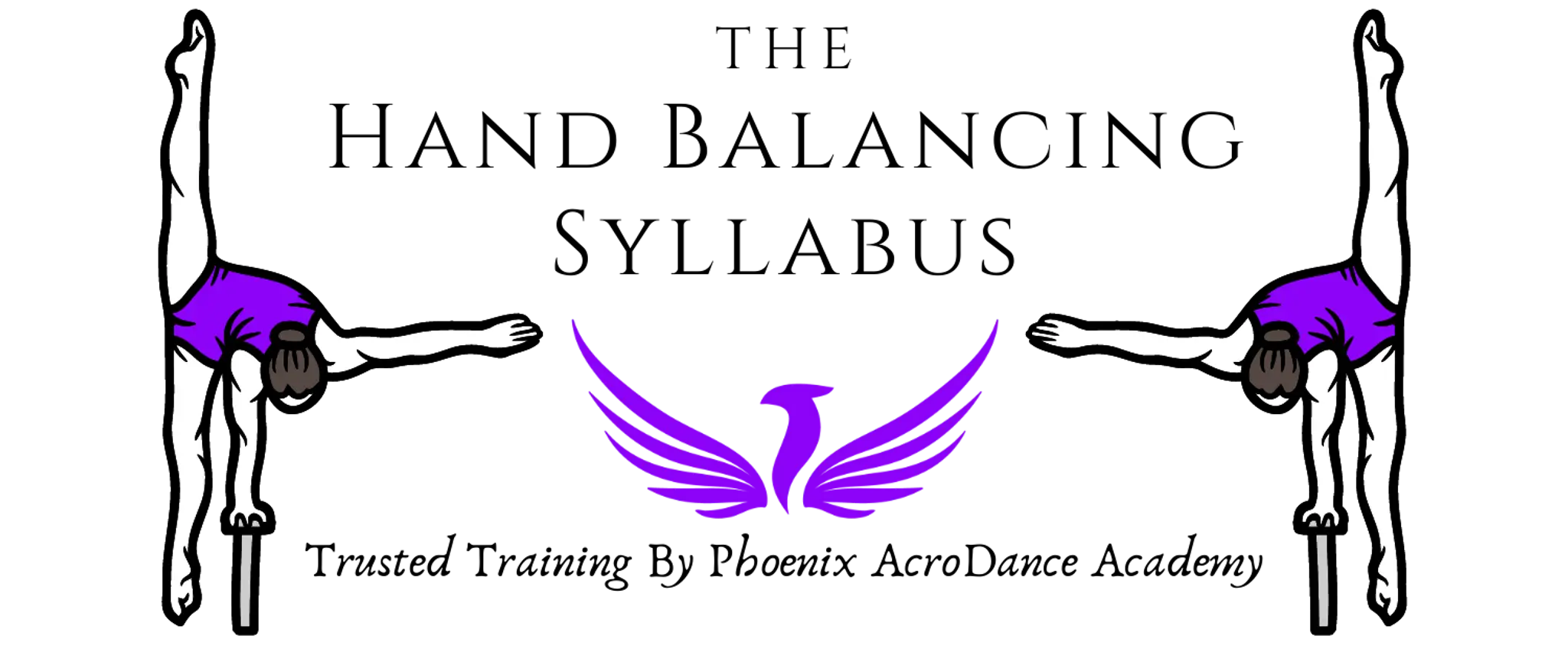 Phoenix AcroDance Academy